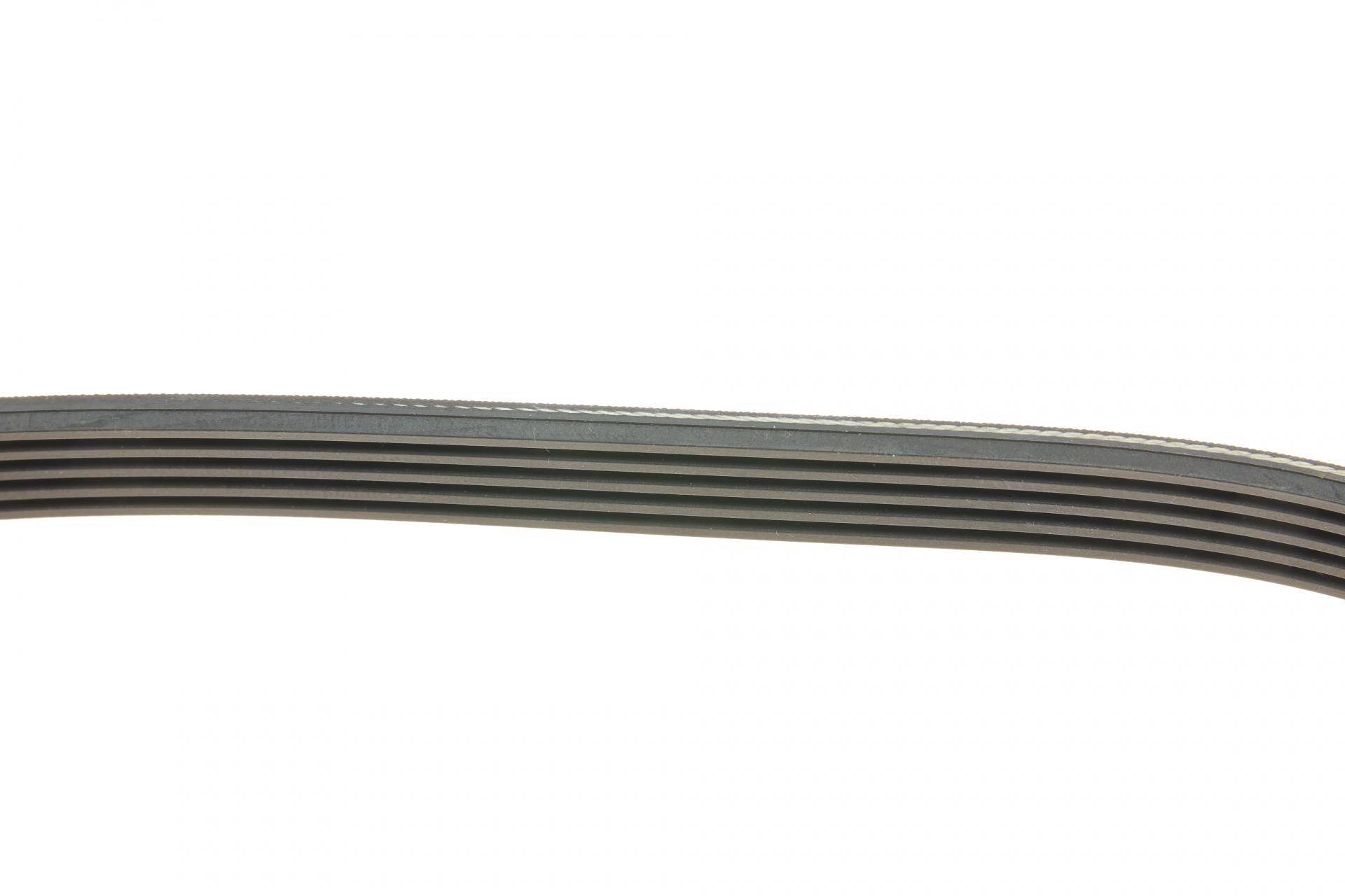 Ремінь генератора MB A-Class 1.6/1.8/2.0 CDI 04-12 (5PK1310)