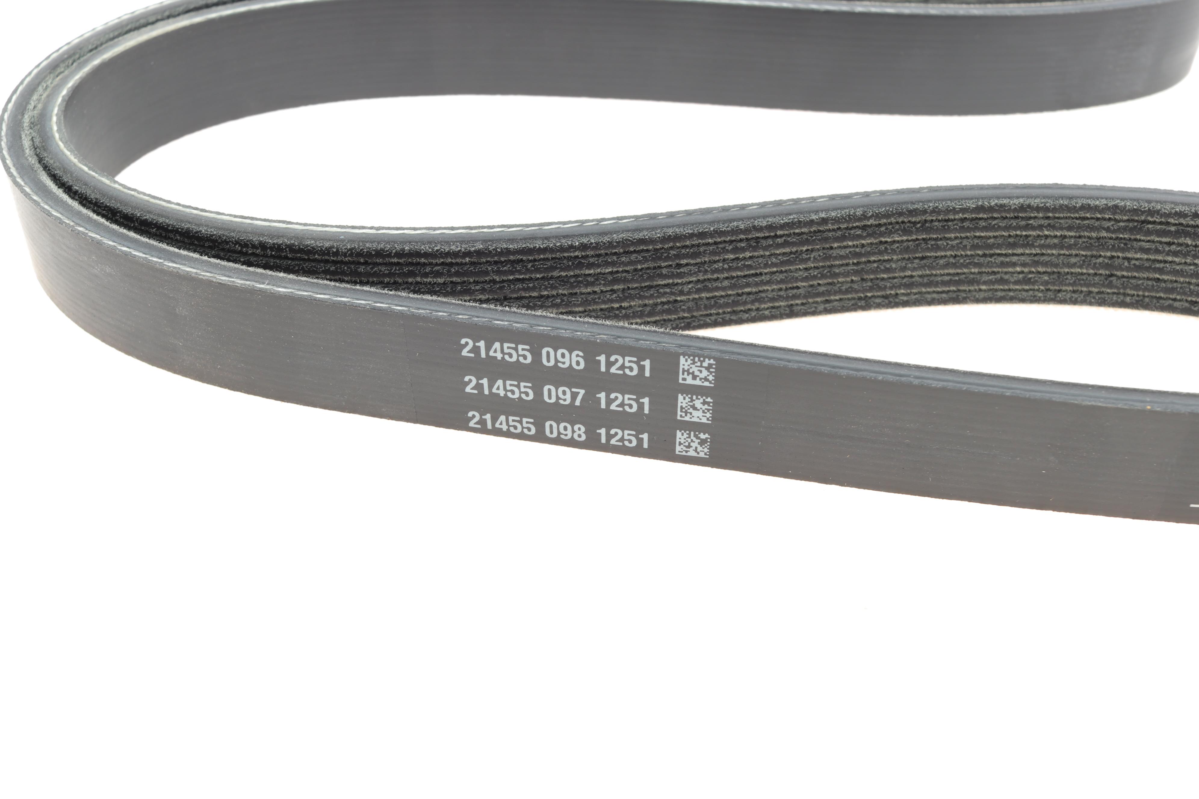 Ремень генератора Ford Fiesta VI 1.25-1.6Ti 08-