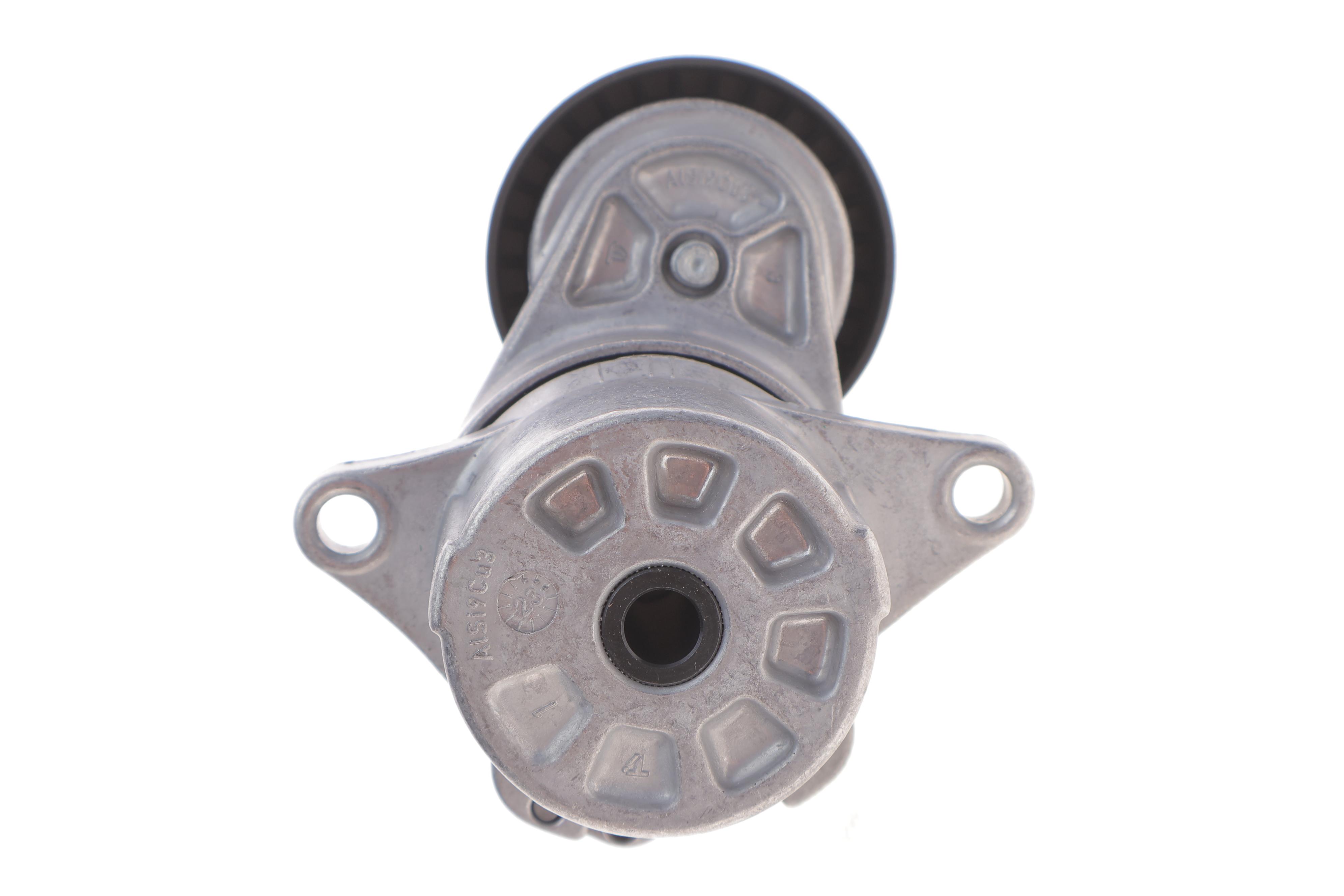 Натяжитель ремня генератора MB C-class (W204)/E-class (W212/S212) 2.2CDI 08-, OM651