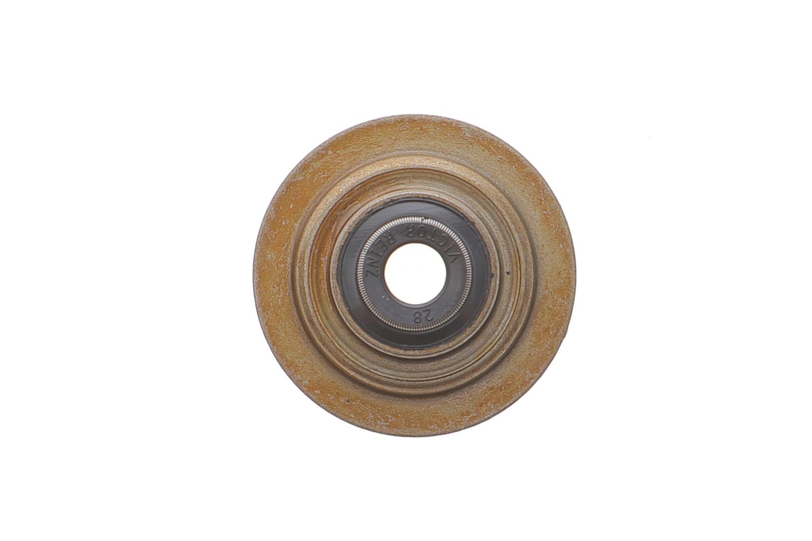 Сальник клапана (впуск/випуск) Land Rover Freelander 2.0 DI 98-06 (к-кт)