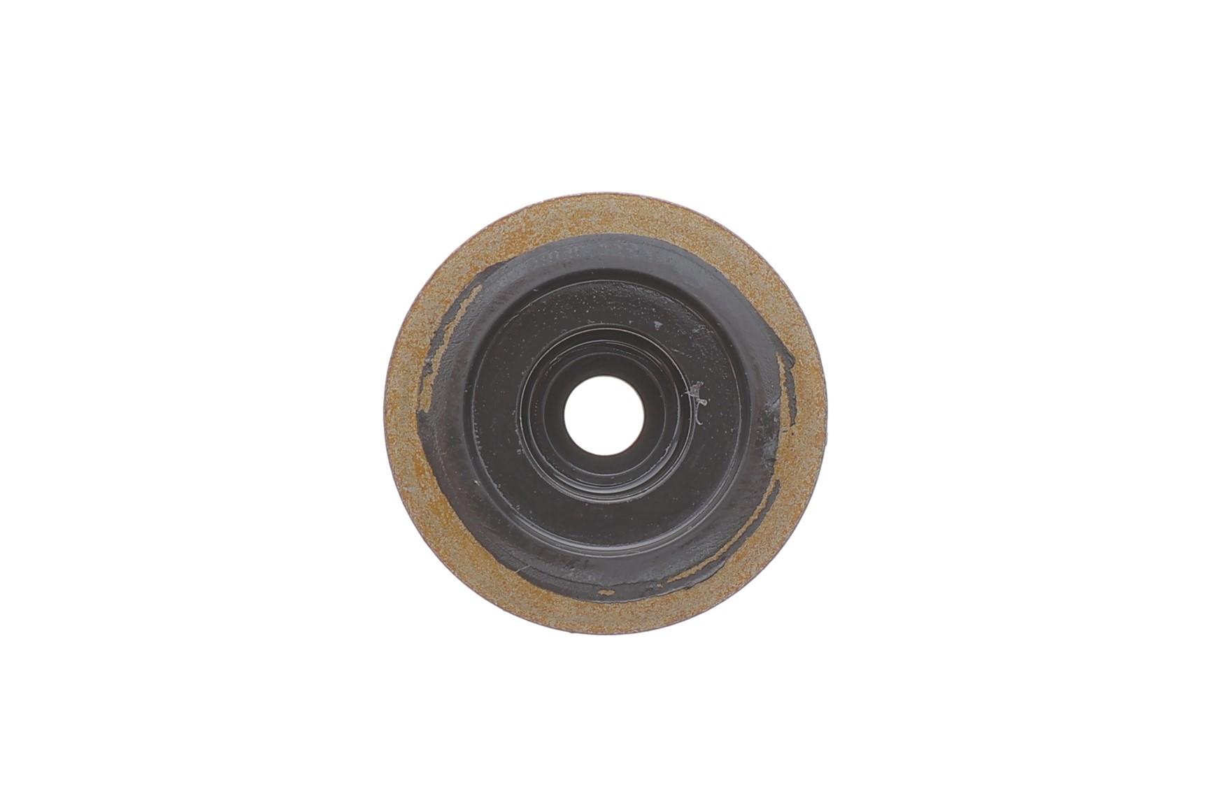 Сальник клапана (впуск/випуск) Land Rover Freelander 2.0 DI 98-06 (к-кт)