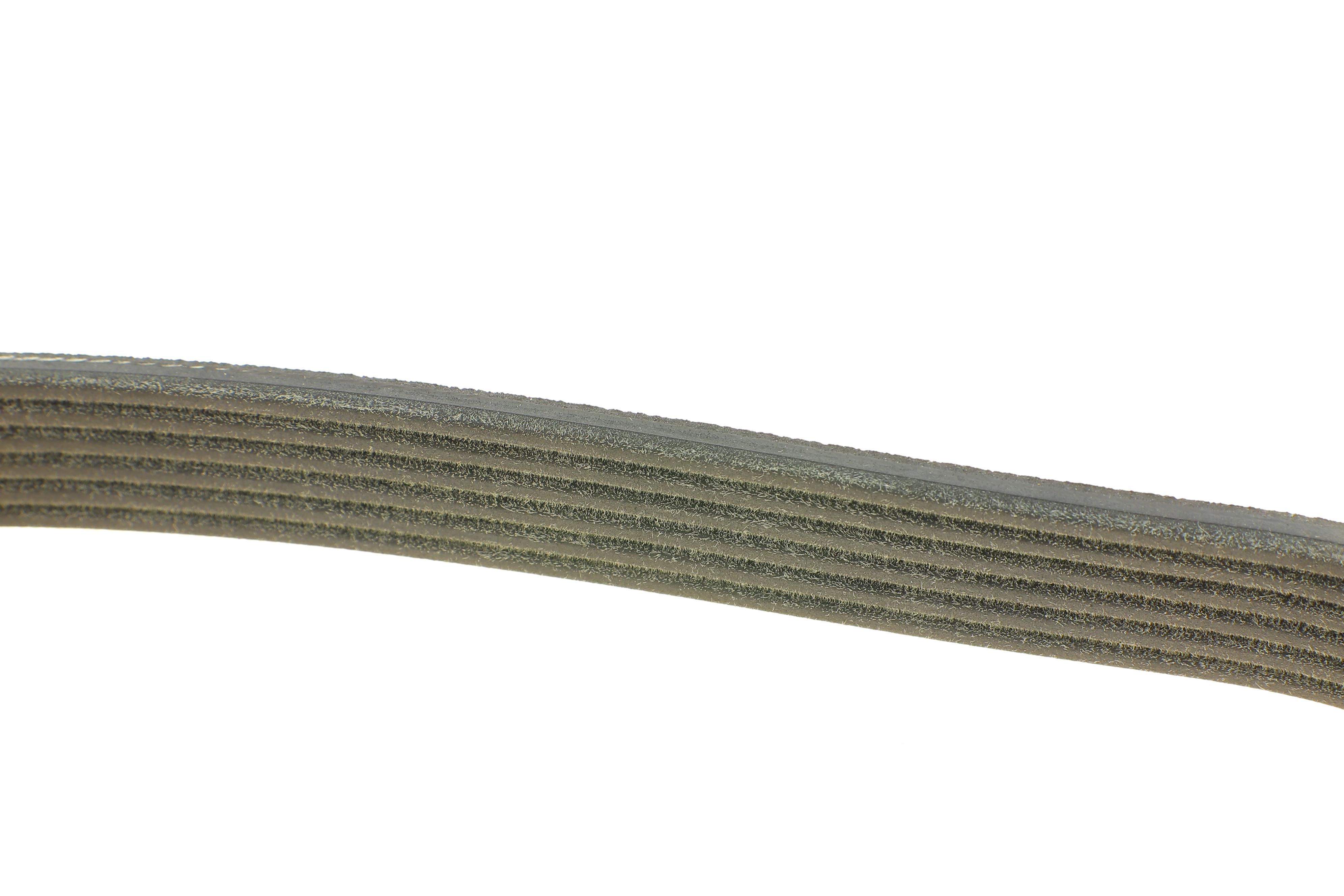 Ремень генератора Ford Fiesta VI 1.25 08-