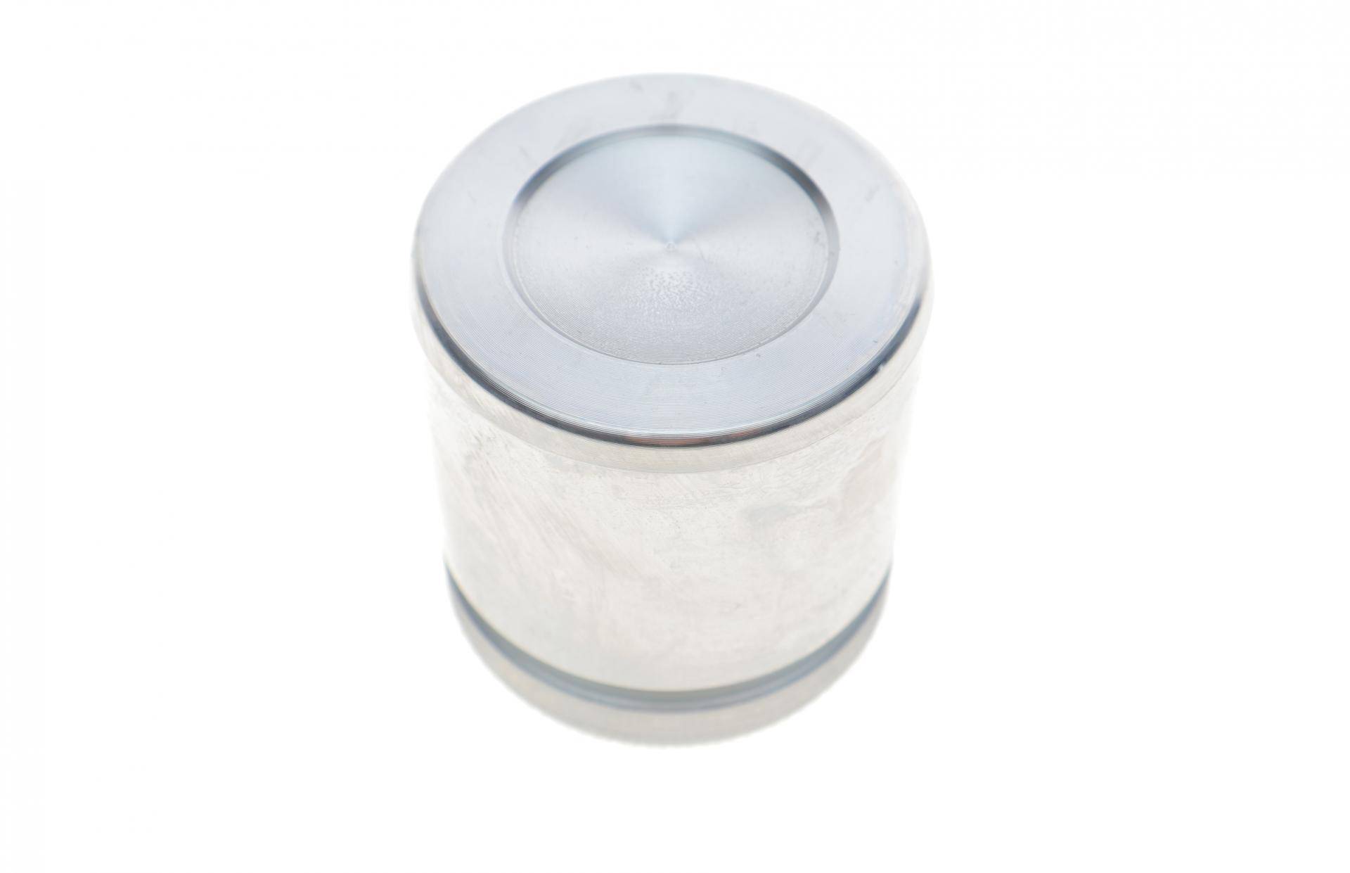 Поршень супорта (переднього) Renault Clio IV/Logan 12- (48x51mm)