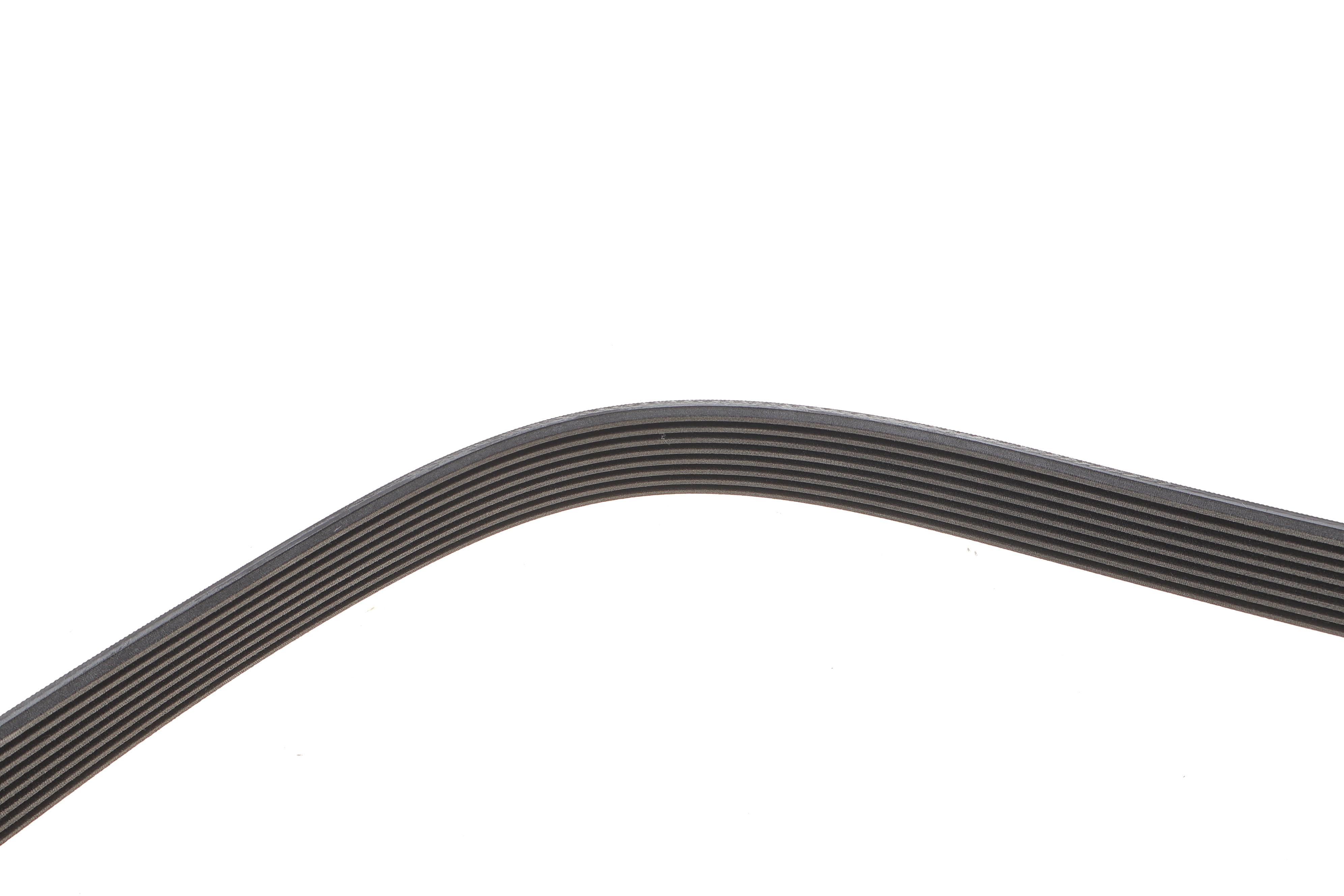 Ремень генератора Mazda CX-7 2.2D 09-13 (8PK1295)