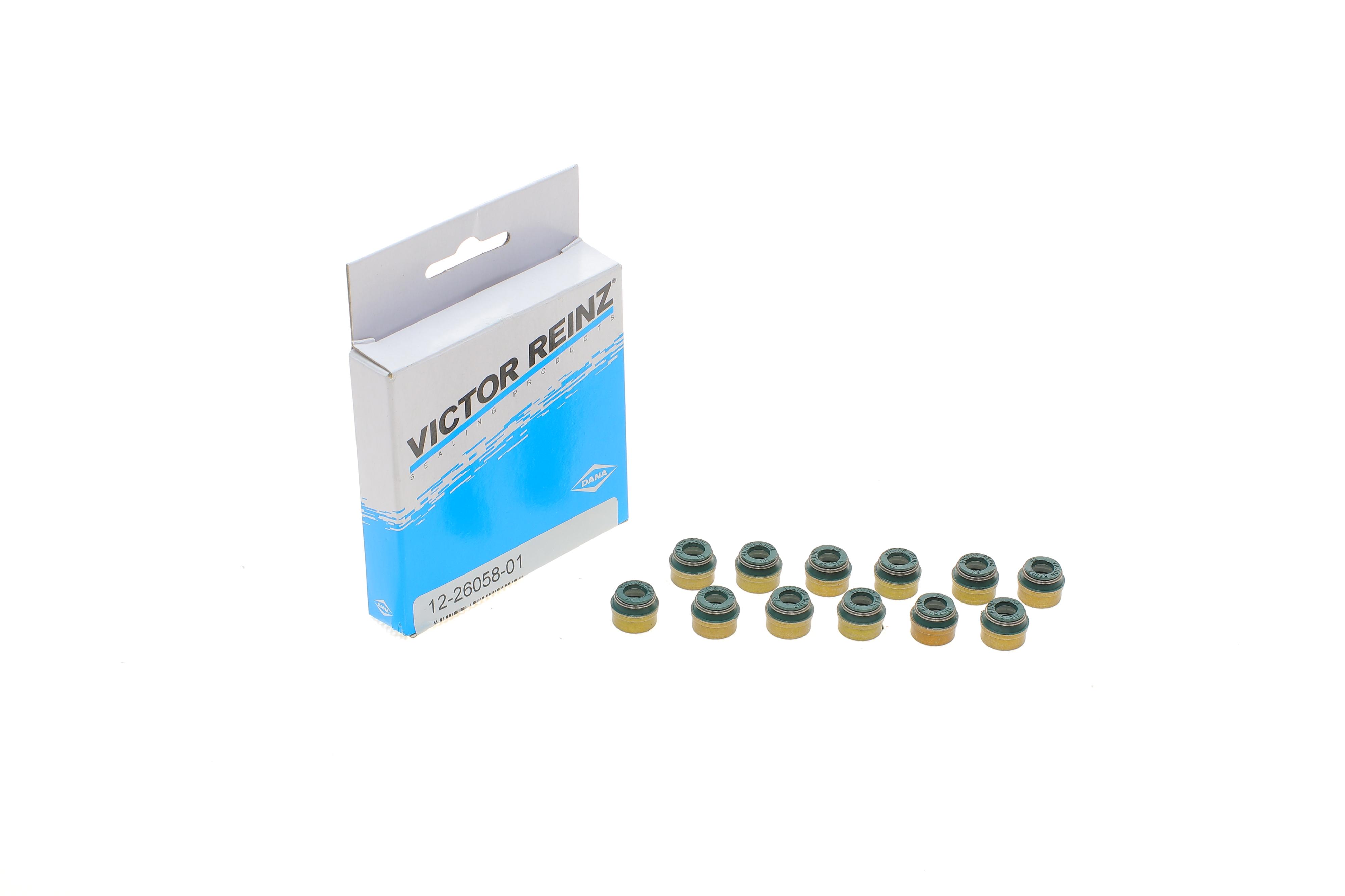 Сальник клапана (впуск/випуск) Audi/Citroen/Peugeot/Renault/VW (к-кт 12шт.)