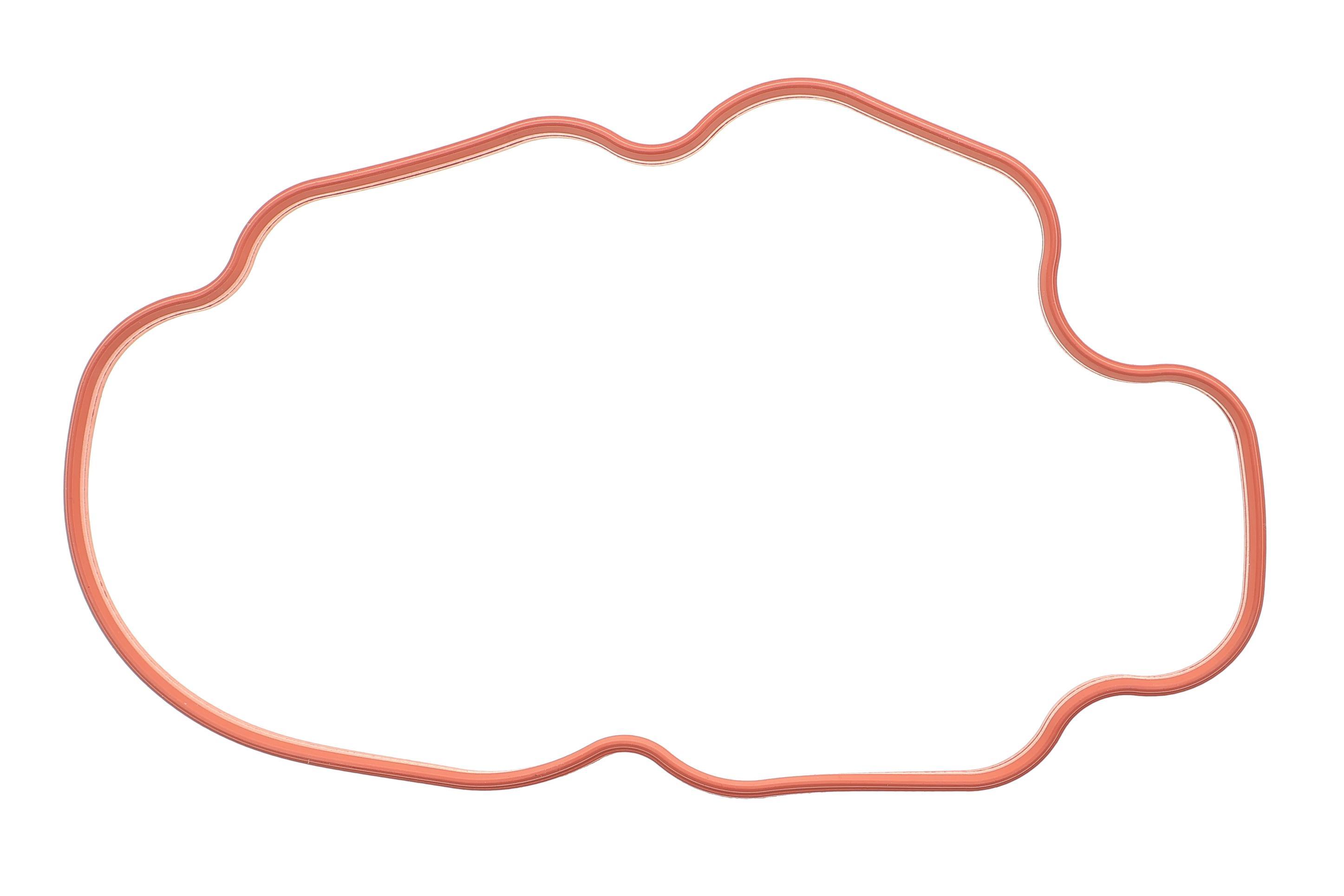 Прокладка коллектора впускного BMW 5 (E34/E39)/7 (E38) 3.0-4.0 i -03