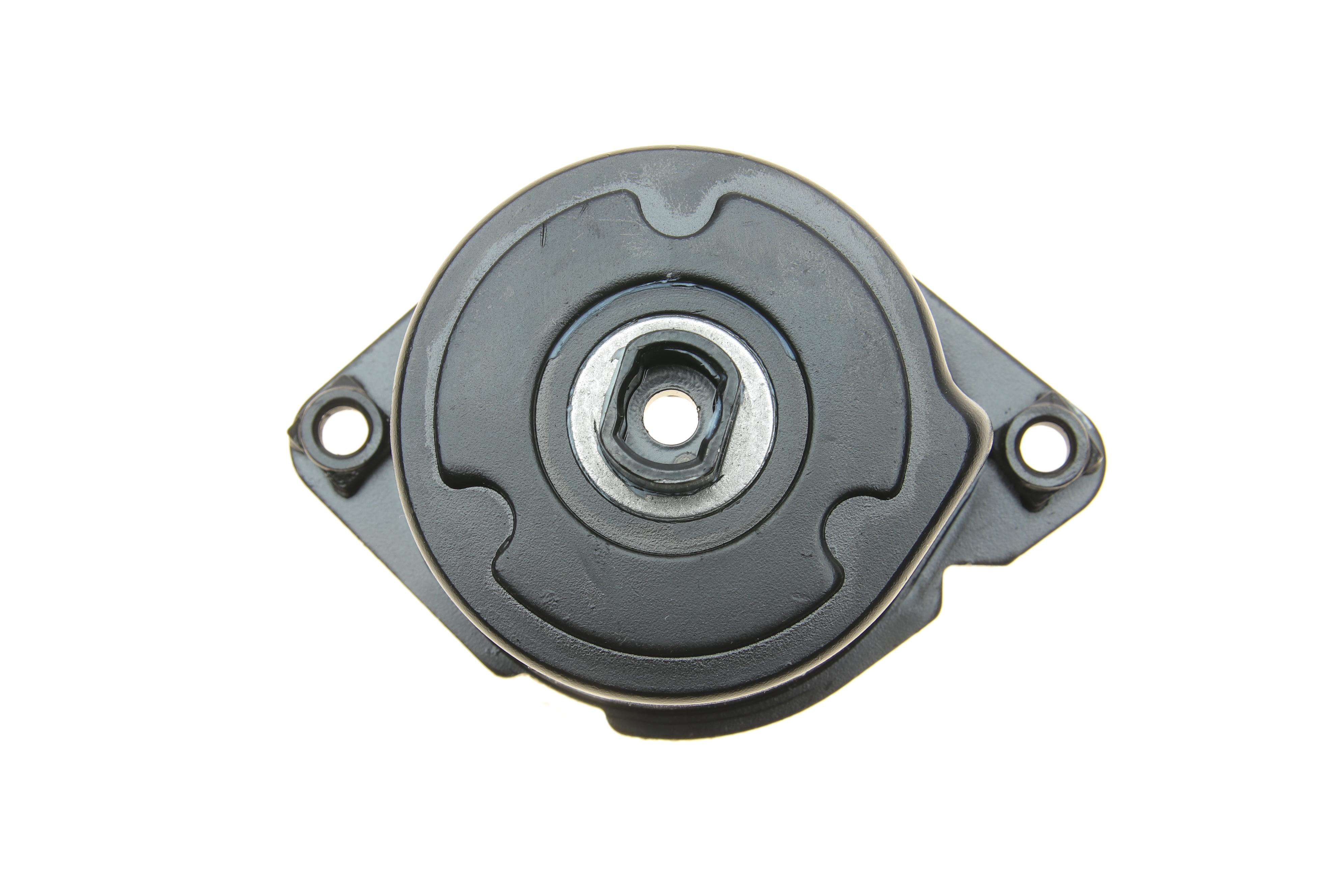 Натяжник ременя генератора BMW 3 (E46)/5 (E39), M47/M57