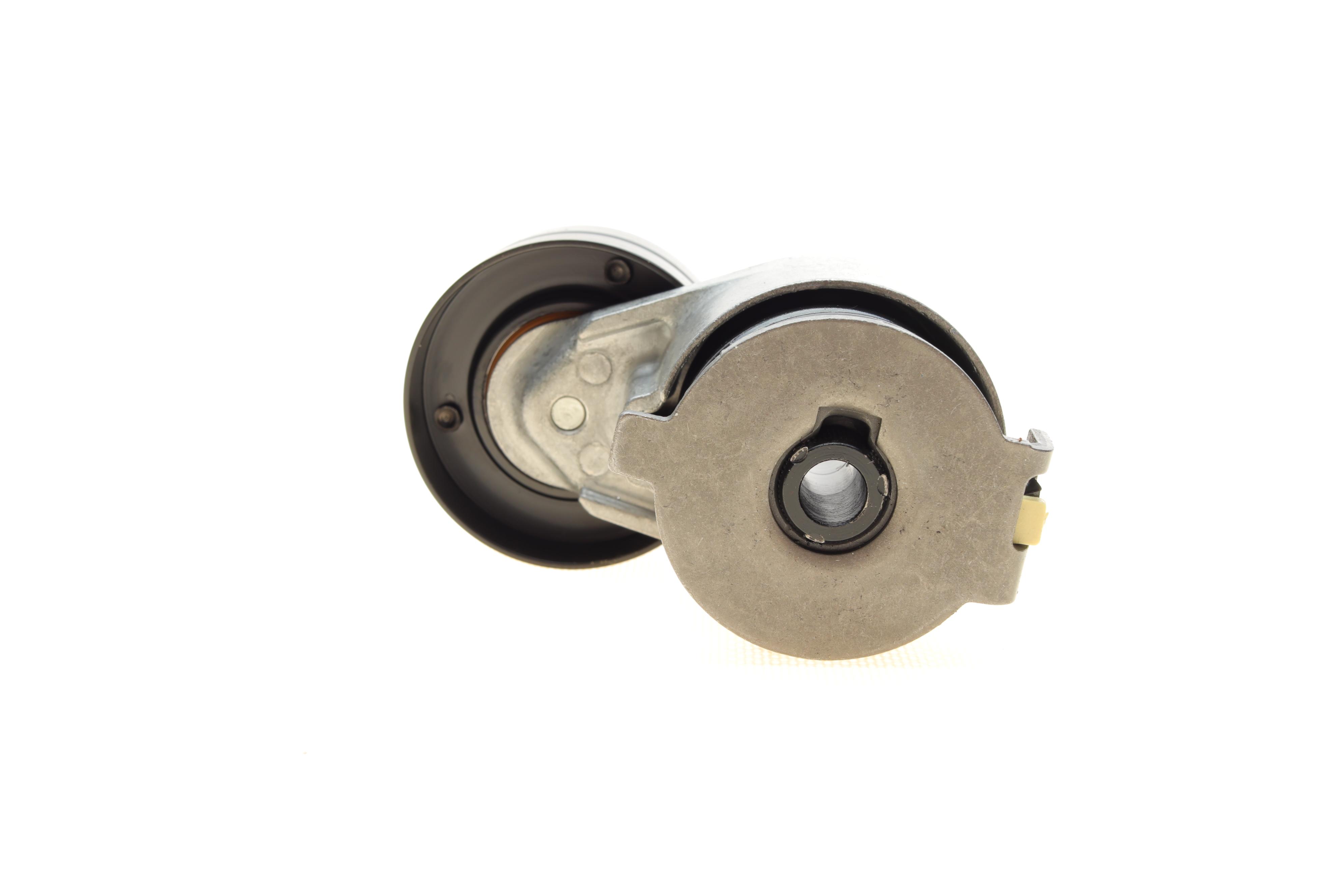 Натяжитель ремня генератора Renault Scenic/Megane II/III 1.9dCi/2.0 16V 03-