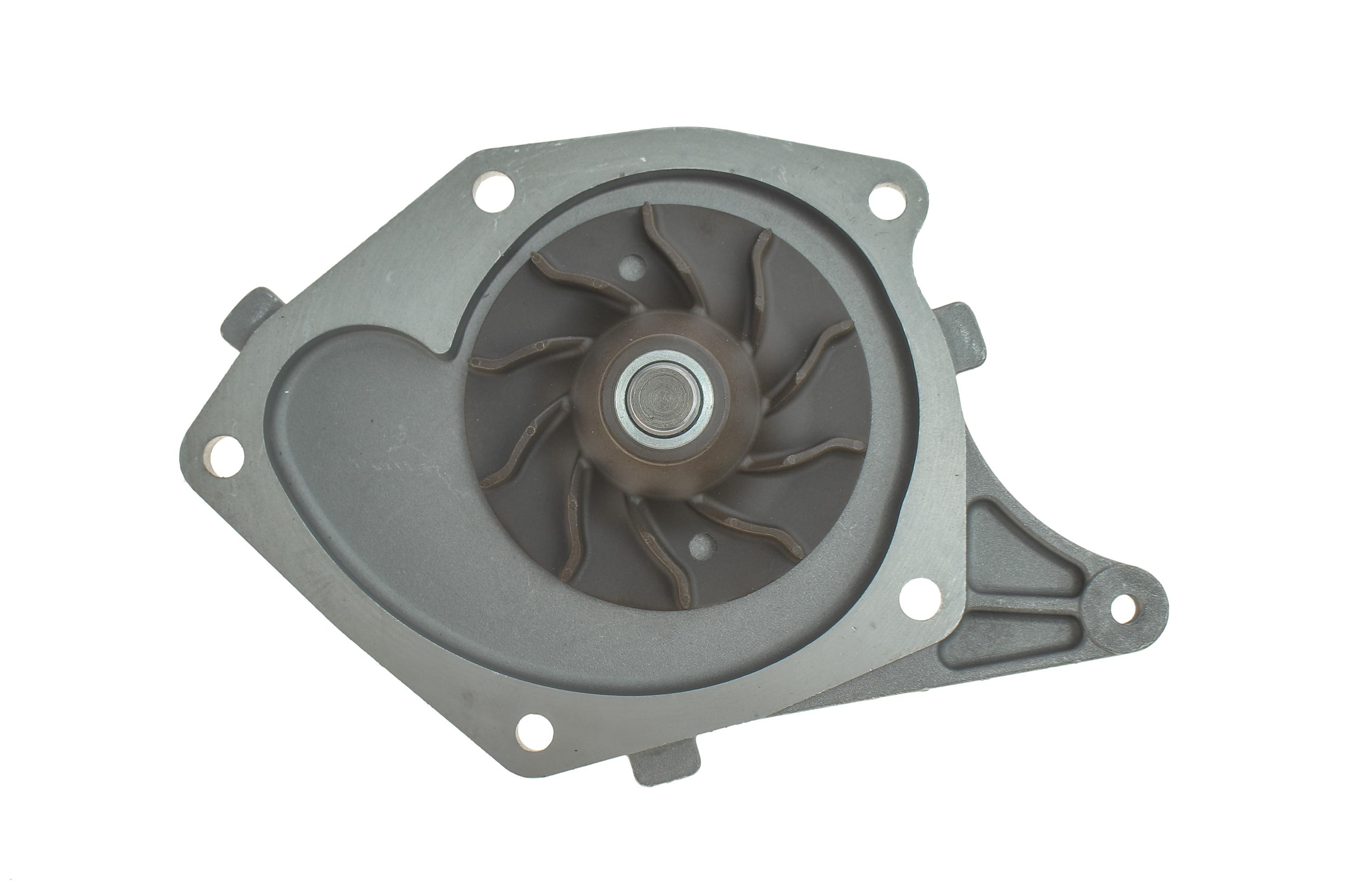 Помпа воды Renault Kangoo/Megane/Scenic/Clio 1.5dCi 01-