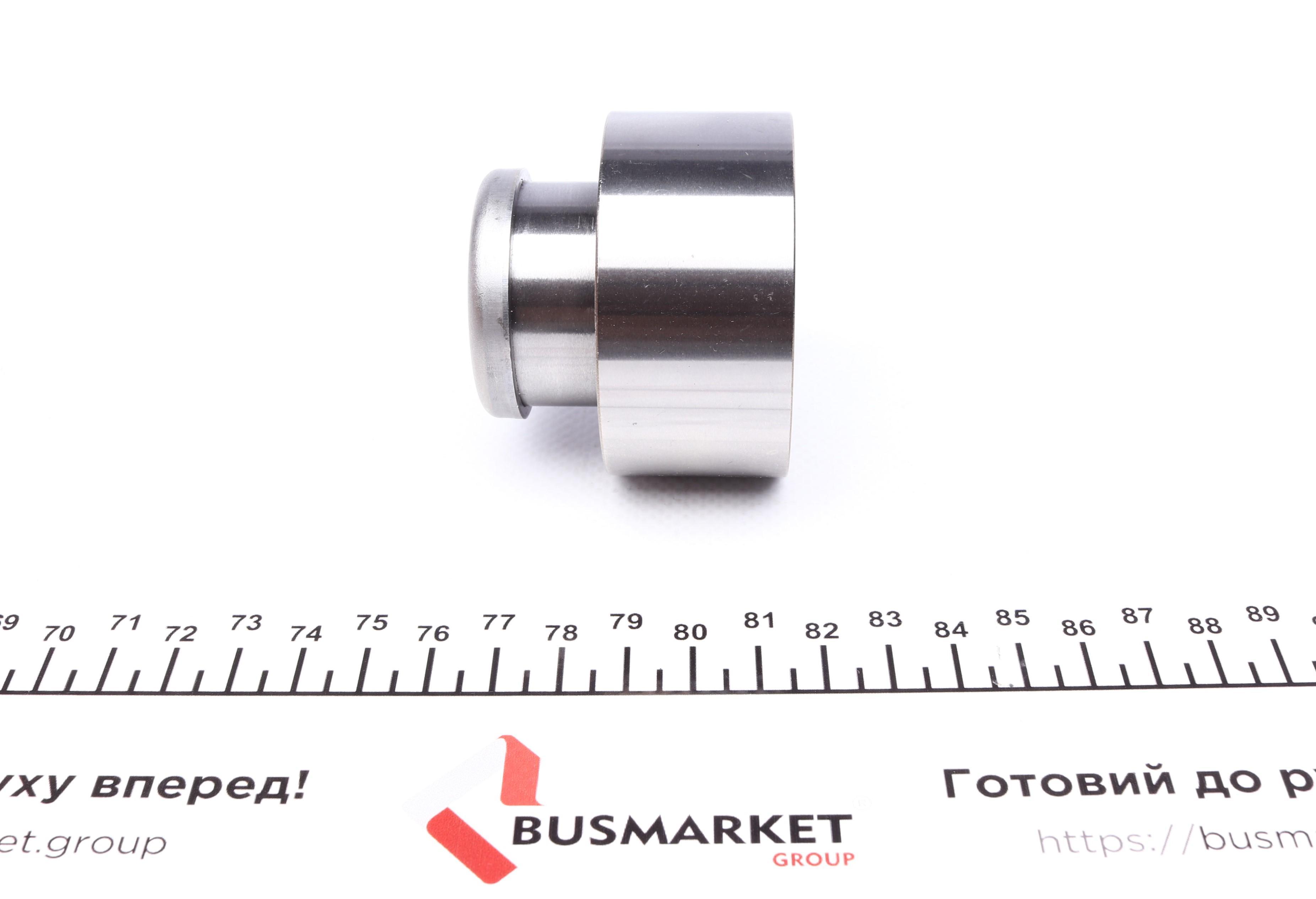 Ролик ГРМ Fiat Punto 1.7D/TDi 94-99 (натяжной) (61х30)