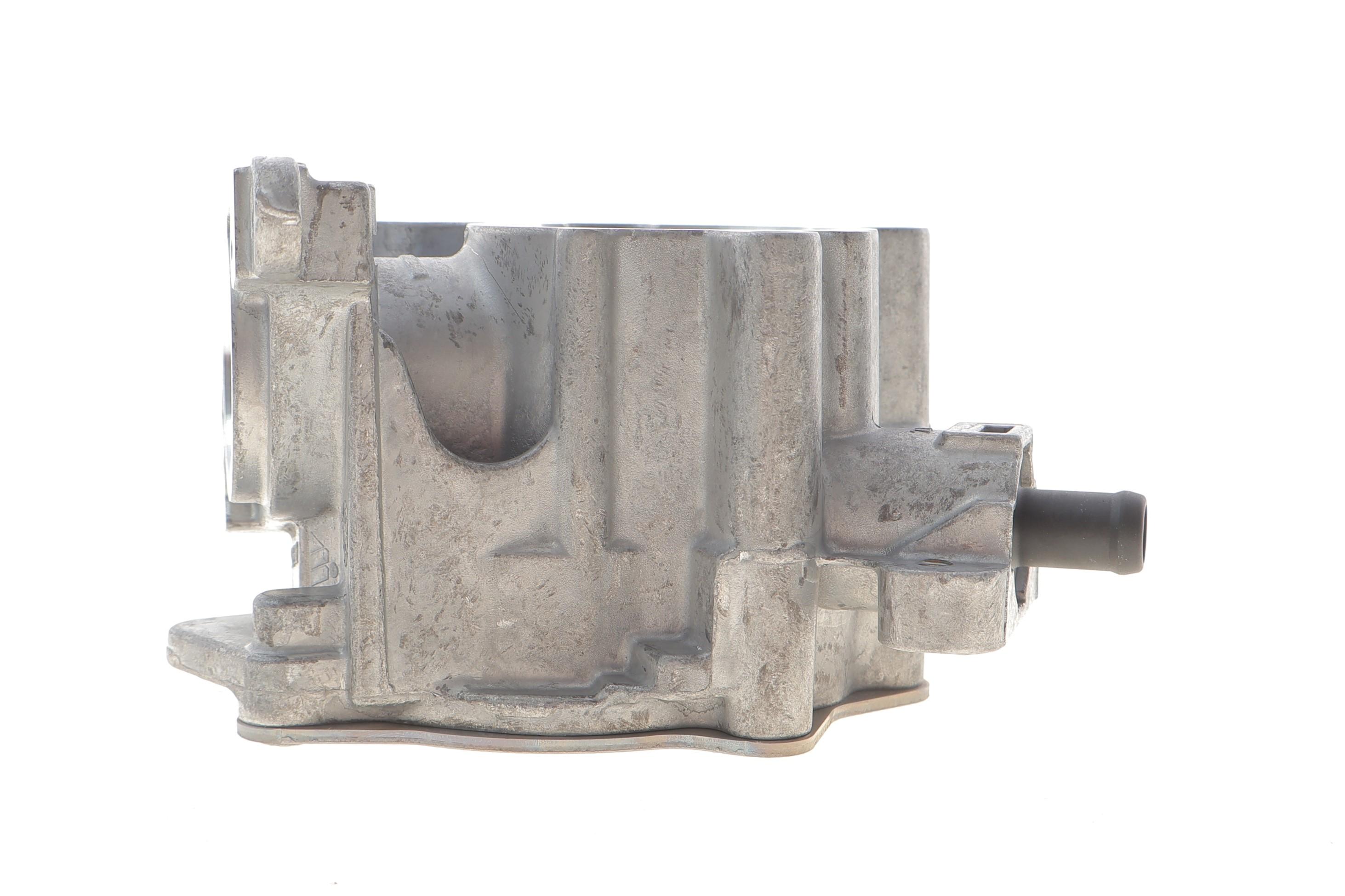 Насос вакуумний VW Golf VI/Passat 1.8 TSI/2.0 GTi 07-14