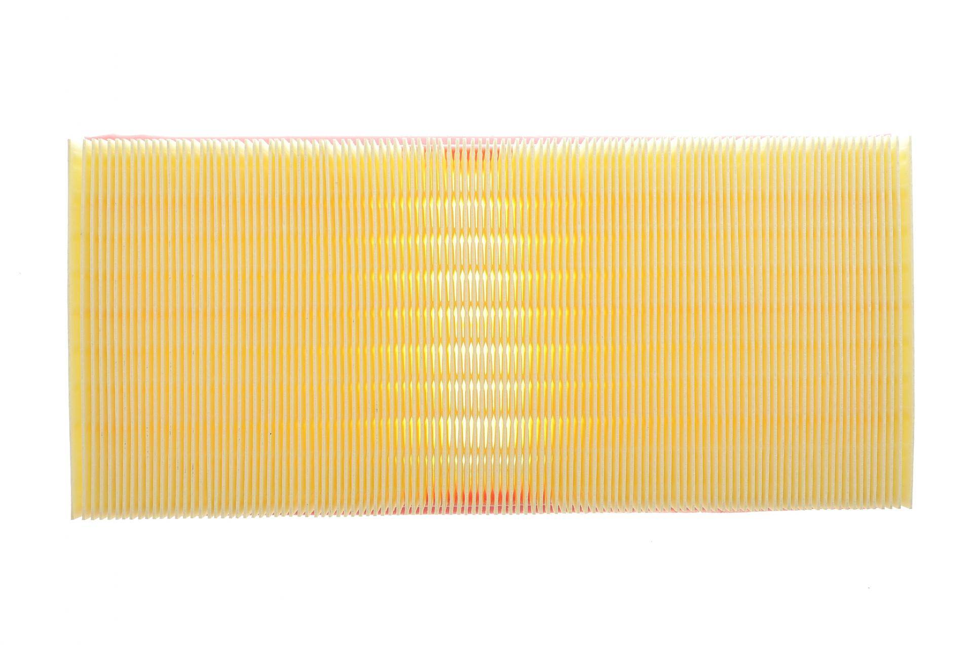 Фільтр повітряний Land Rover Discovery 2.0Td/3.0D/3.0/5.0/Range Rover/Sport 3.0/D/TD/4.4D/5.0 09-