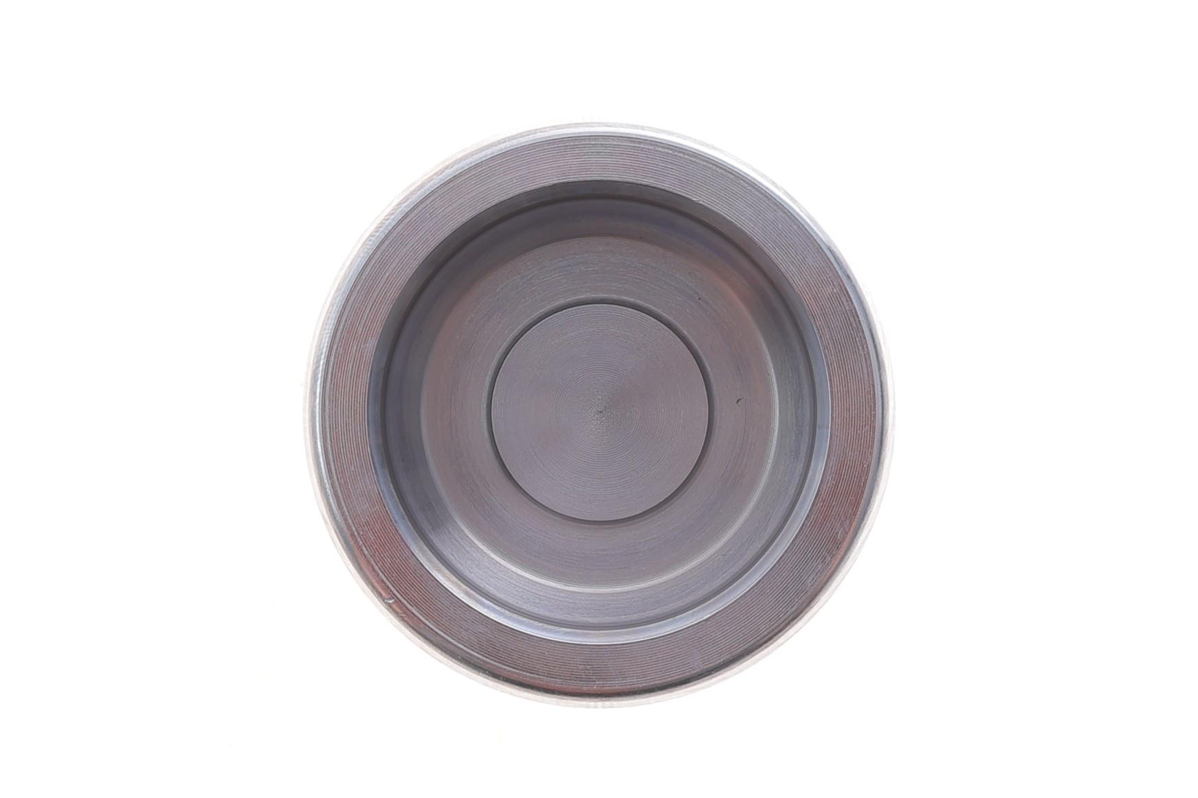 Поршень супорта (переднього) Seat Ibiza -99 (48x46,65mm) (Ate)