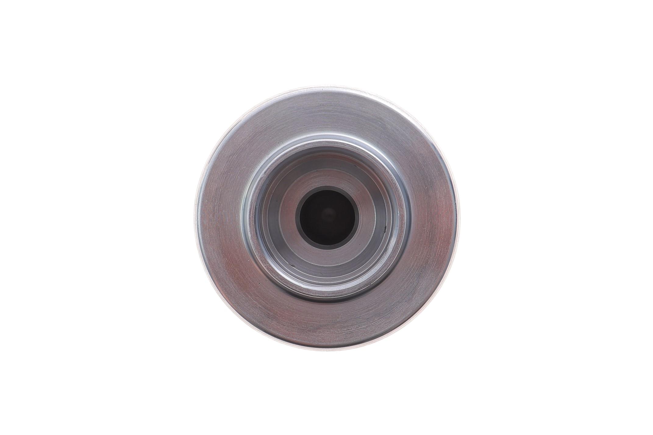 Поршень супорта (заднього) Iveco Daily 99- (d=52mm) (Brembo)