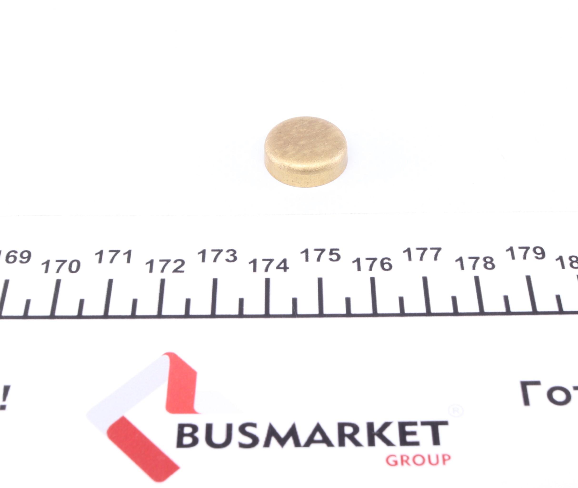Заглушка блока цилиндров (d=17,4mm) Латунь/Brass
