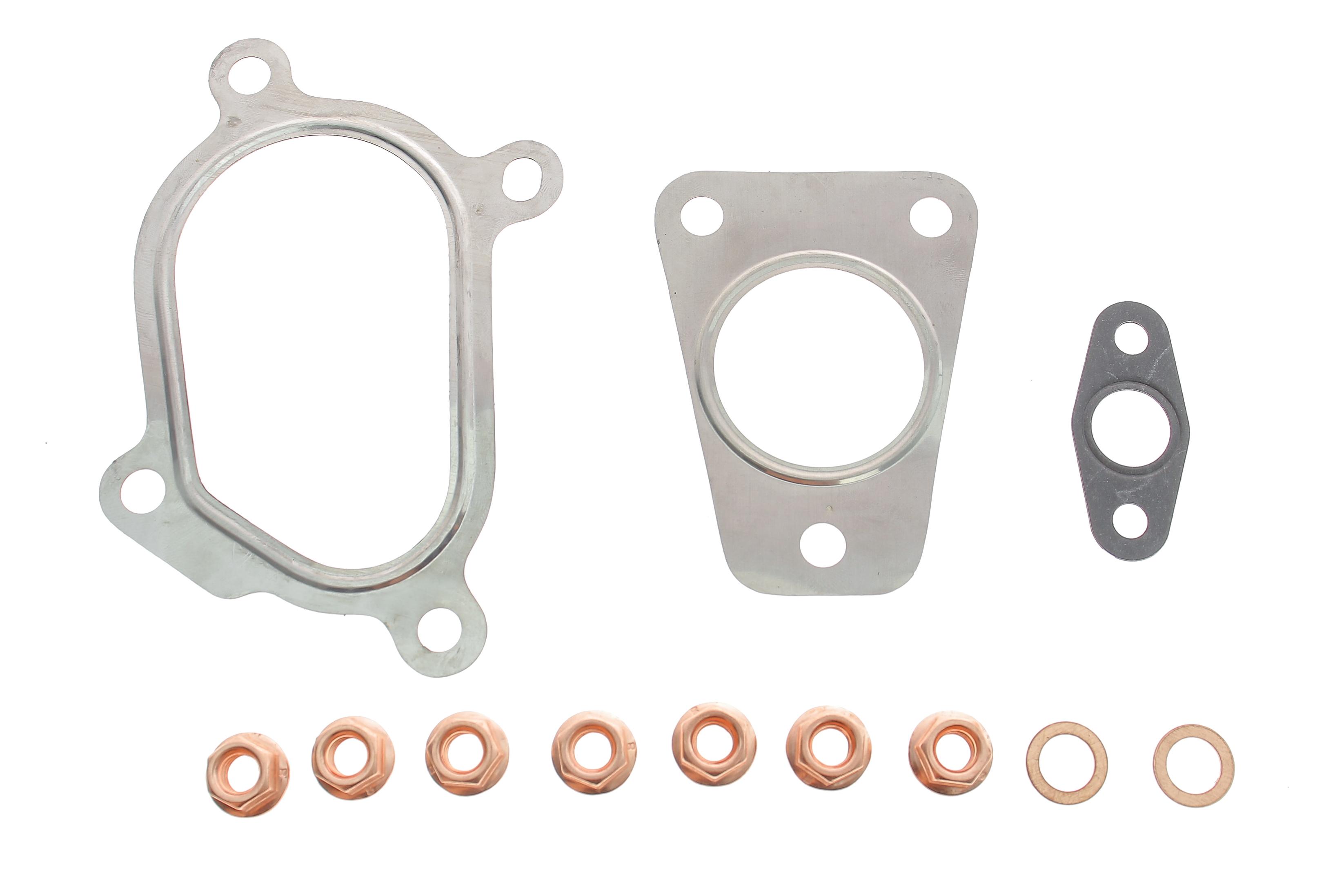 Комплект прокладок турбины Renault Master 2.2 dCi 00-, G9T 720/722/750