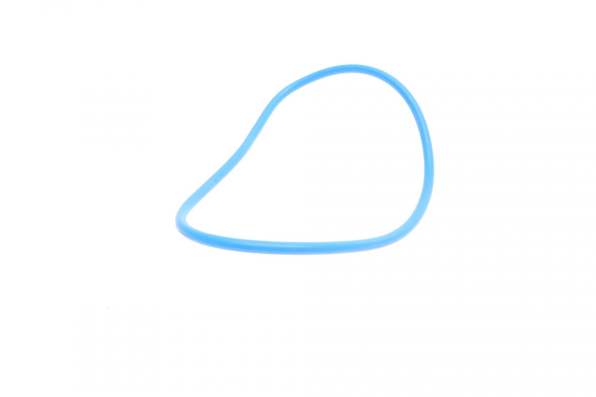 Фільтр паливний Citroen C5/Peugeot 407 2.7HDI 04-