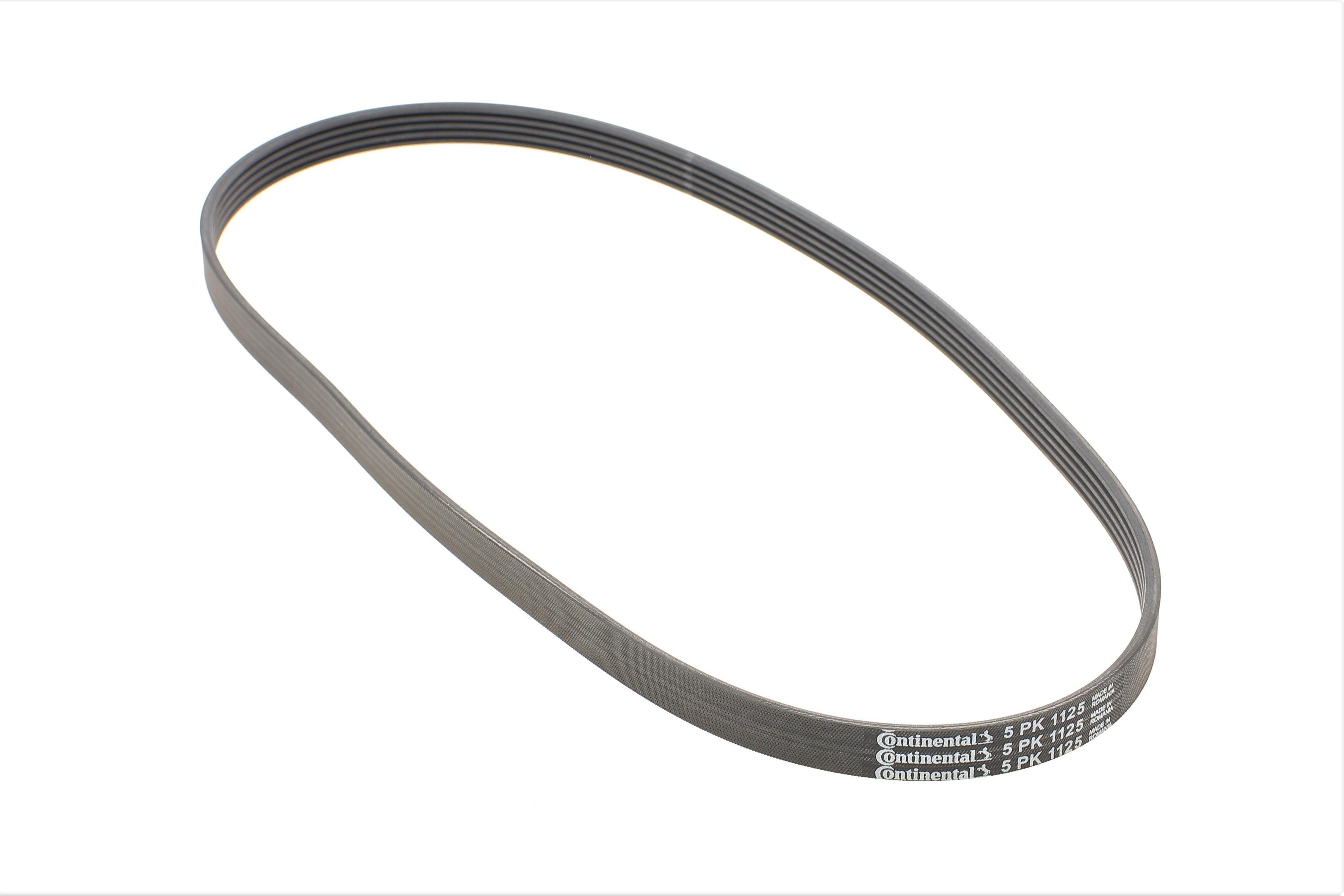 Ремінь генератора Renault Trafic/Master/Laguna/Opel Movano/Vivaro 1.9dCi 01-/BMW 3 (E36) 3.0 92-98