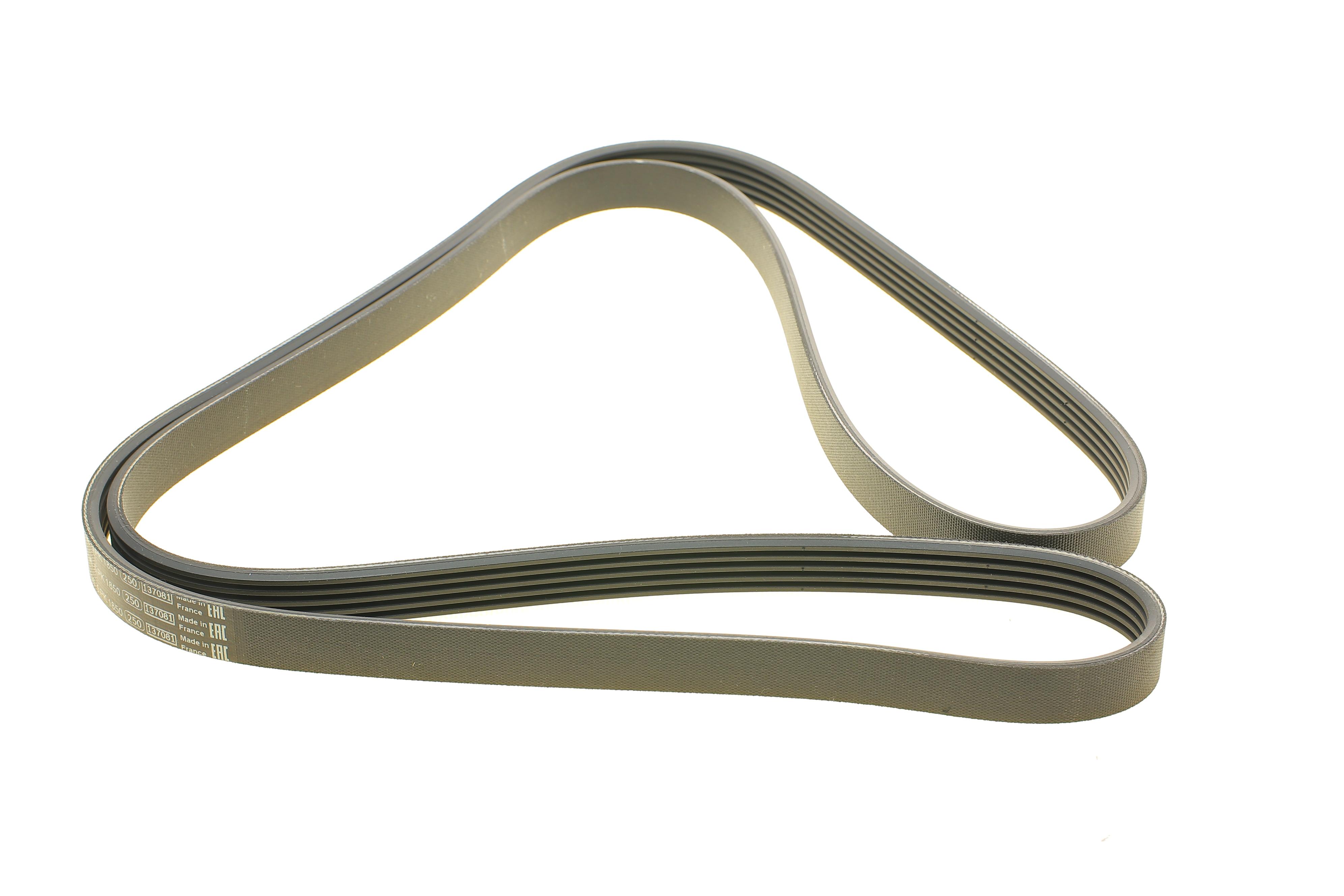 Ремінь генератора BMW 5 (E39)/7 (E38) 2.5TDS 96-04/Kia Cerato/Rio/Hyundai Accent 1.5/1.6CRDI 05-