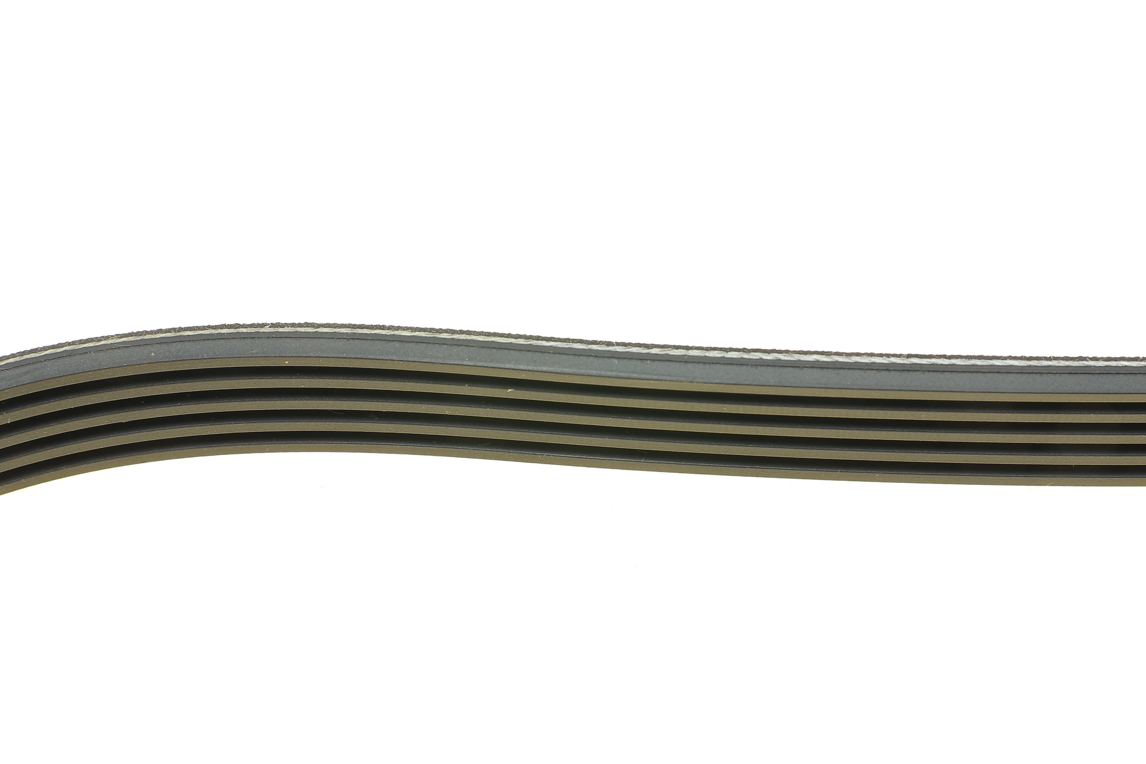 Ремінь генератора BMW 5 (E39)/7 (E38) 2.5TDS 96-04/Kia Cerato/Rio/Hyundai Accent 1.5/1.6CRDI 05-