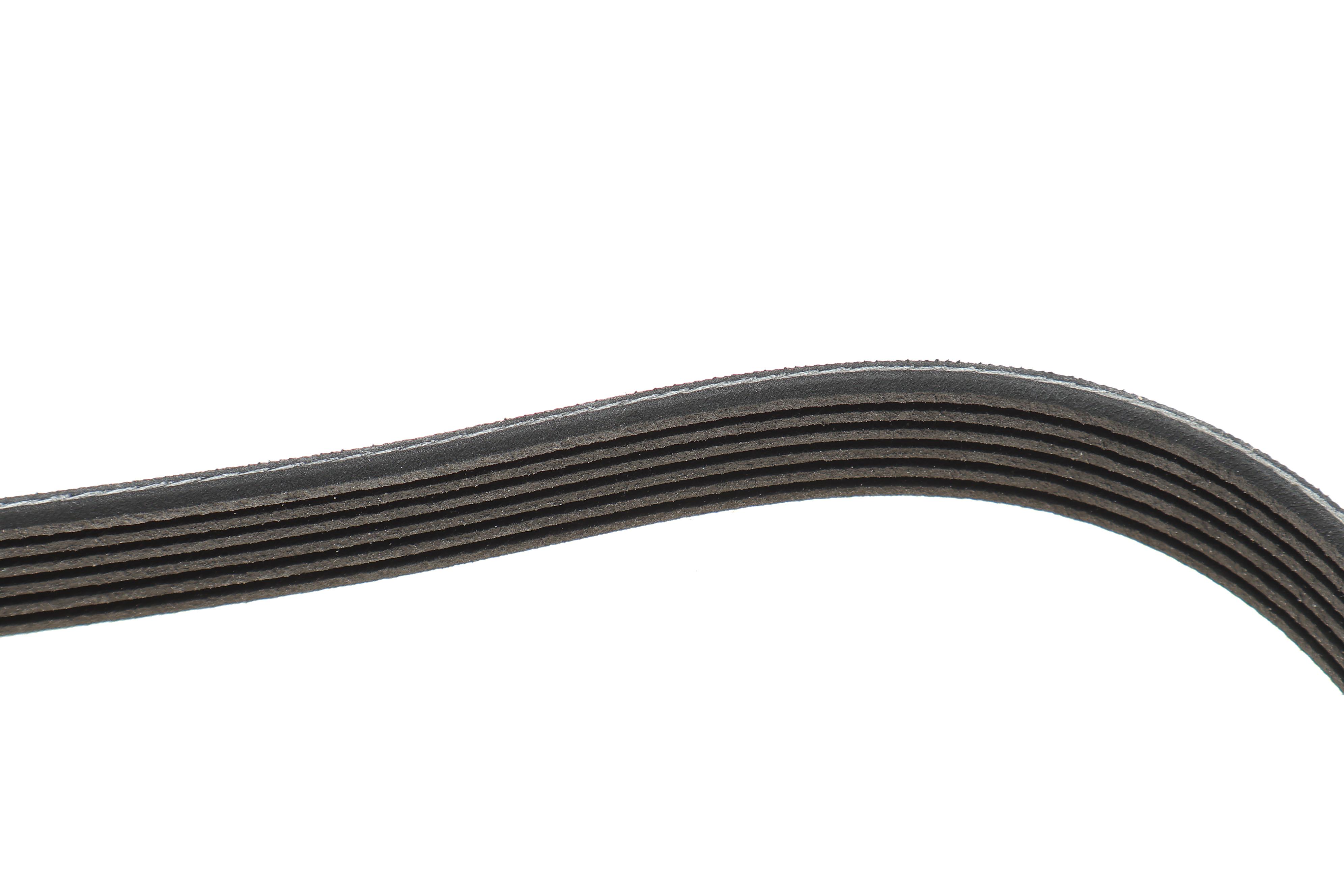 Ремінь генератора Land Rover Range Rover Velar 3.0/5.0 17-