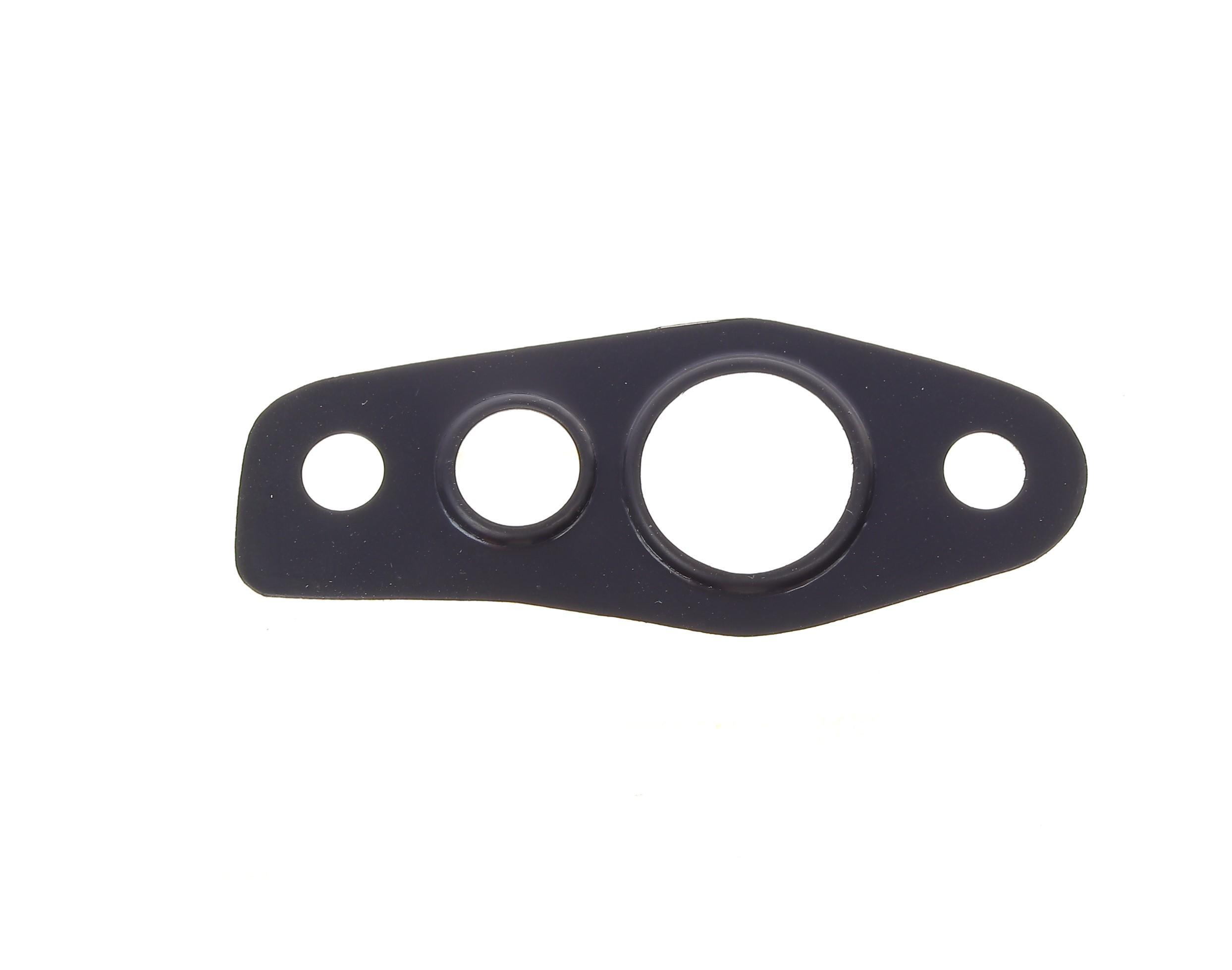 Прокладка турбіни Renault Laguna/Megane 2.0 dCi 05-15