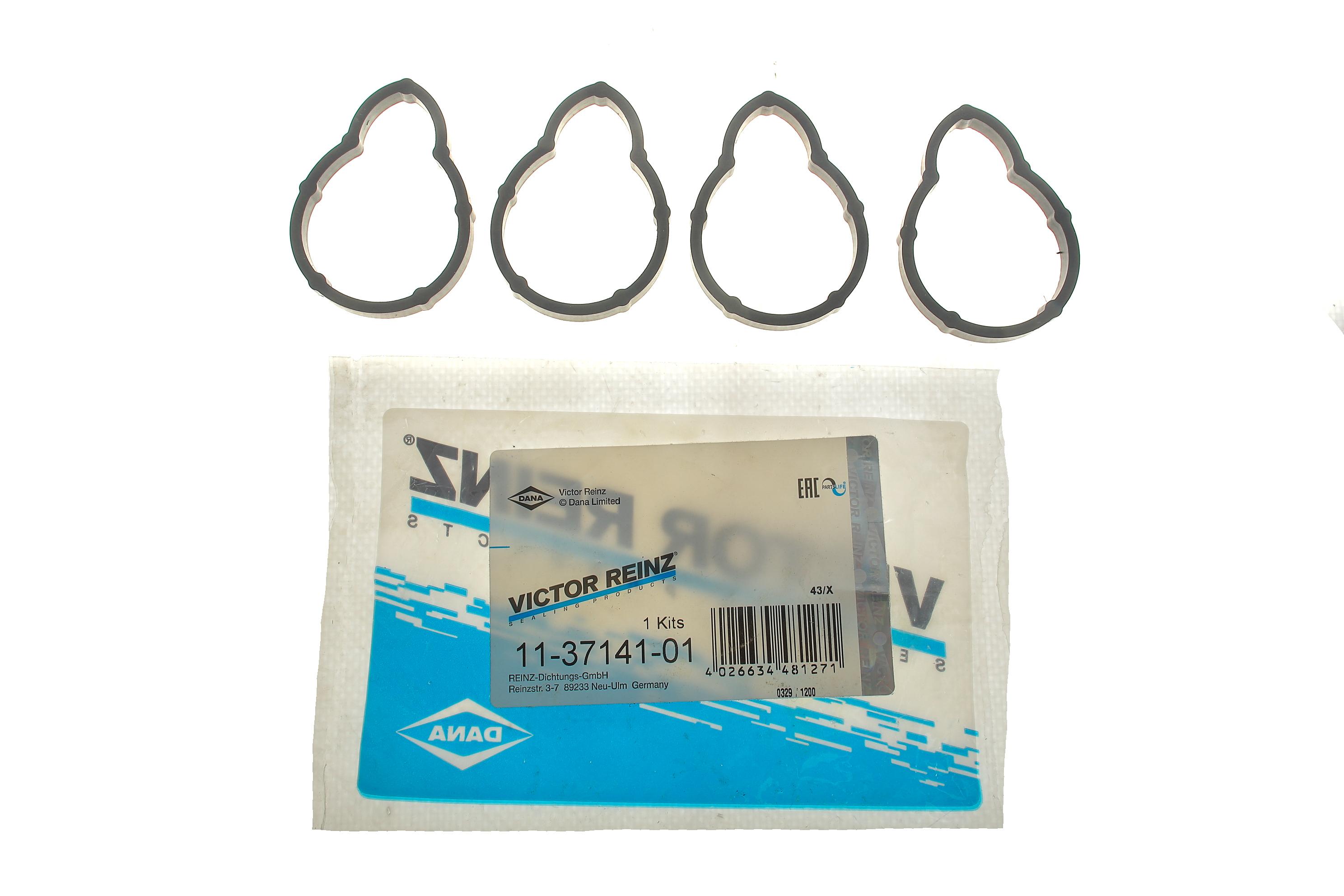 Прокладка колектора впускного Renault Kangoo 1.4/1.6i 97- (к-кт), E7J/K7J/K7M