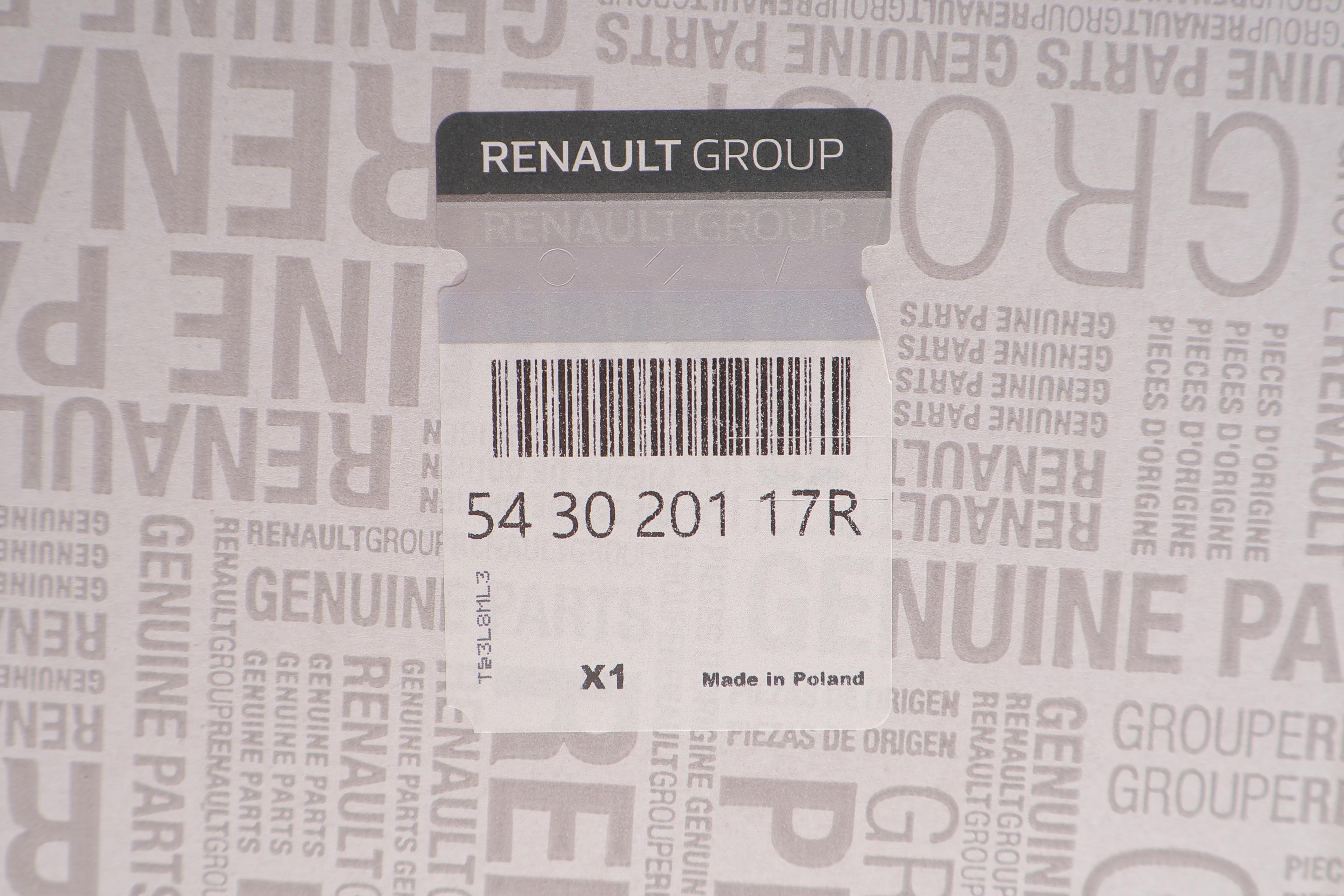 Амортизатор (передний) Renault Megane IV 1.2TCe/1.5/1.6dCi 16-