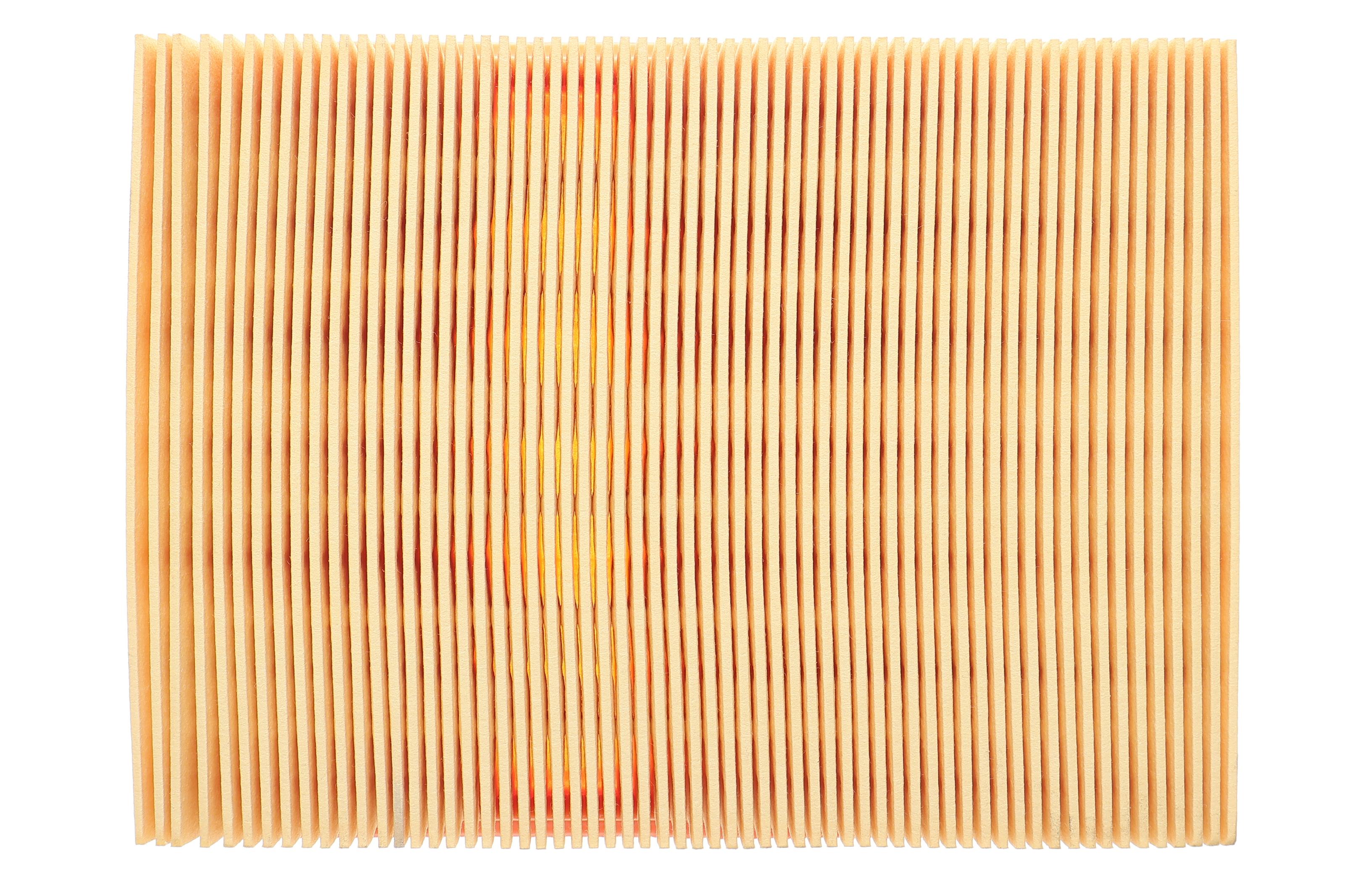 Фільтр повітряний Citroen Xsara/Peugeot 206 1.9D/2.0HDi 98-