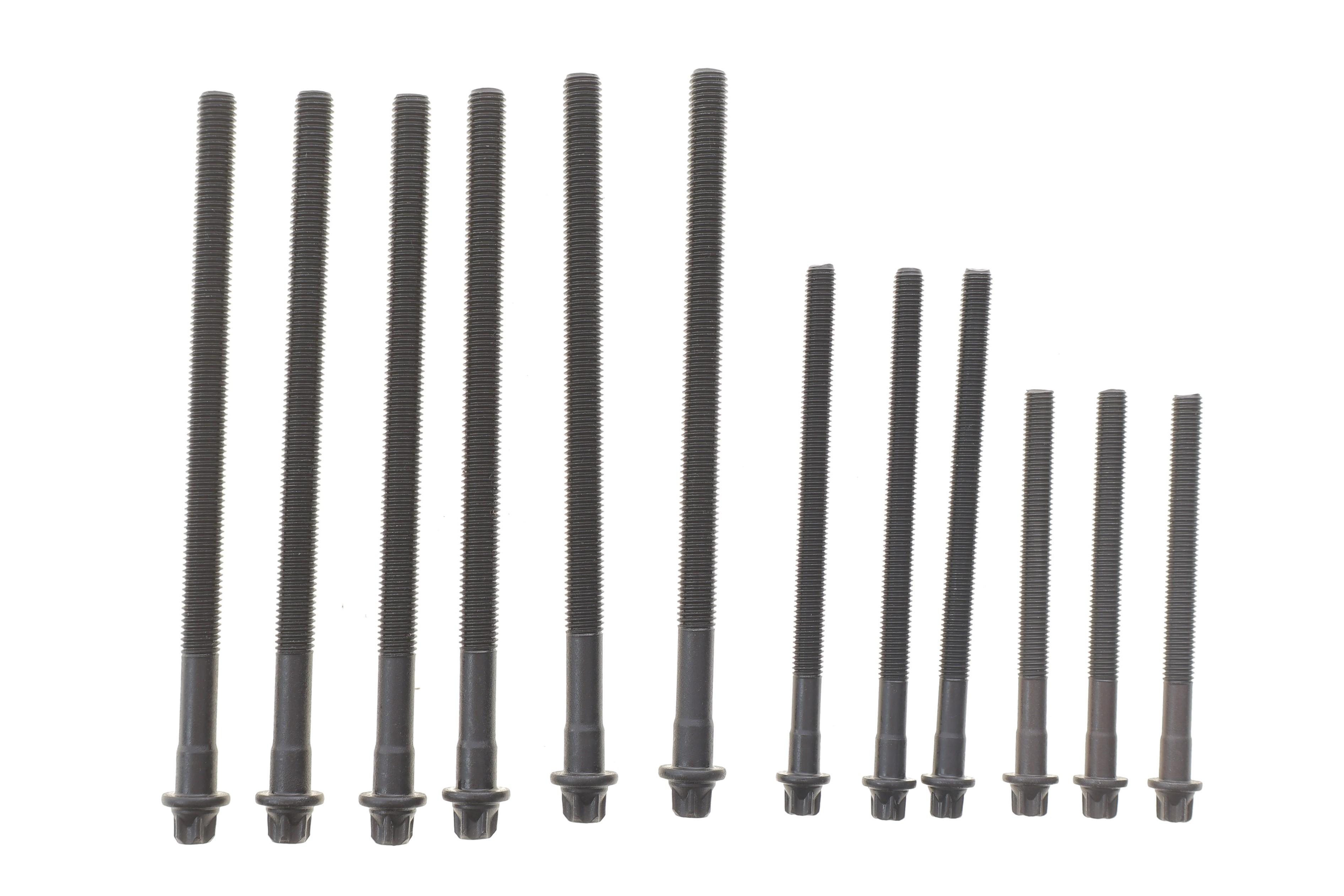 Болты головки (к-кт 12шт.) BMW 1(E87)/3 (E46/E91)/5 (E60)/X3 (E83) 1.6/1.8/2.0 00-12 N40/N42/N45/N46