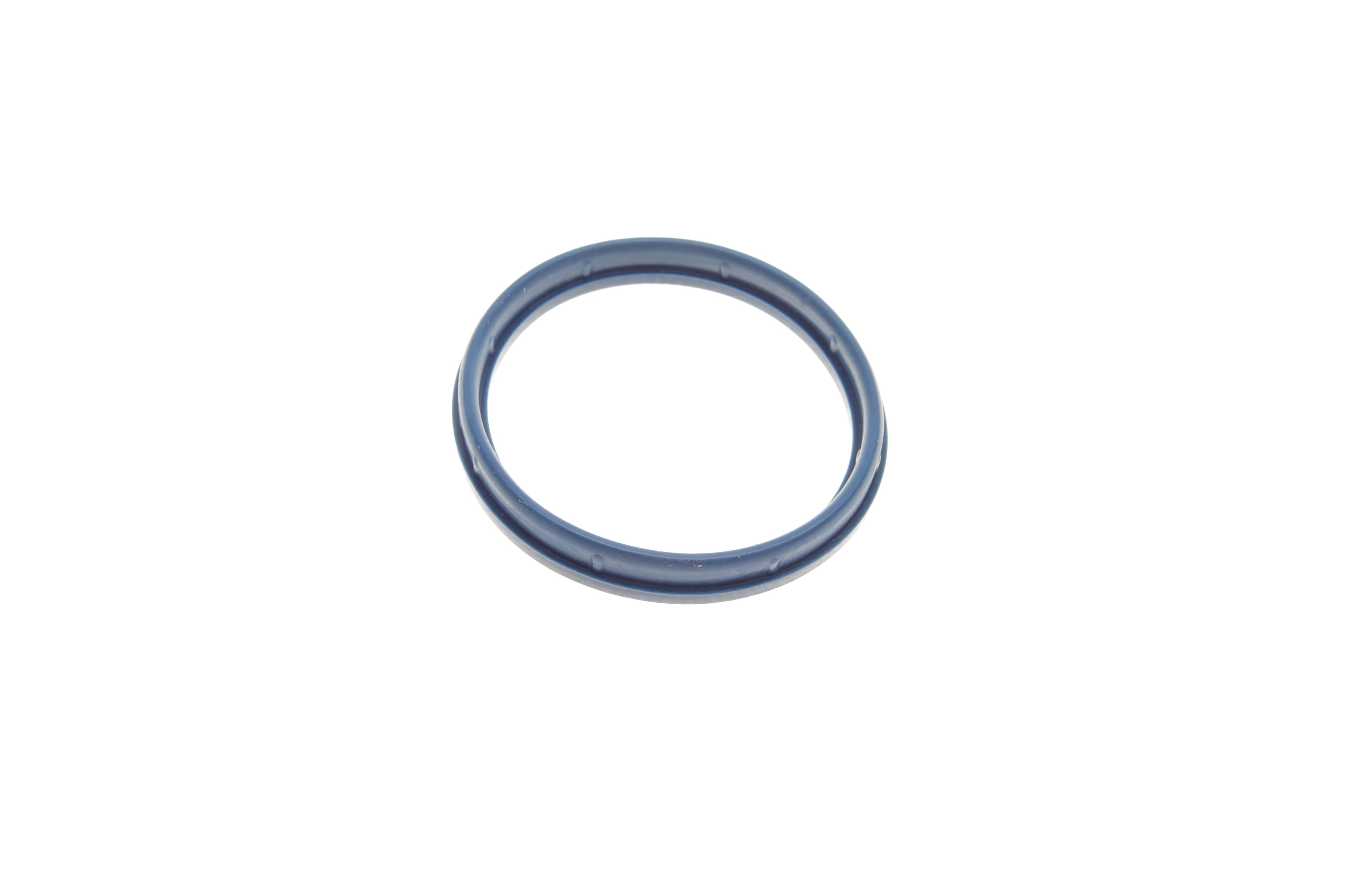 Прокладка коллектора впускного Ford Transit 2.0/2.4 TDCi 00-06 (к-кт)