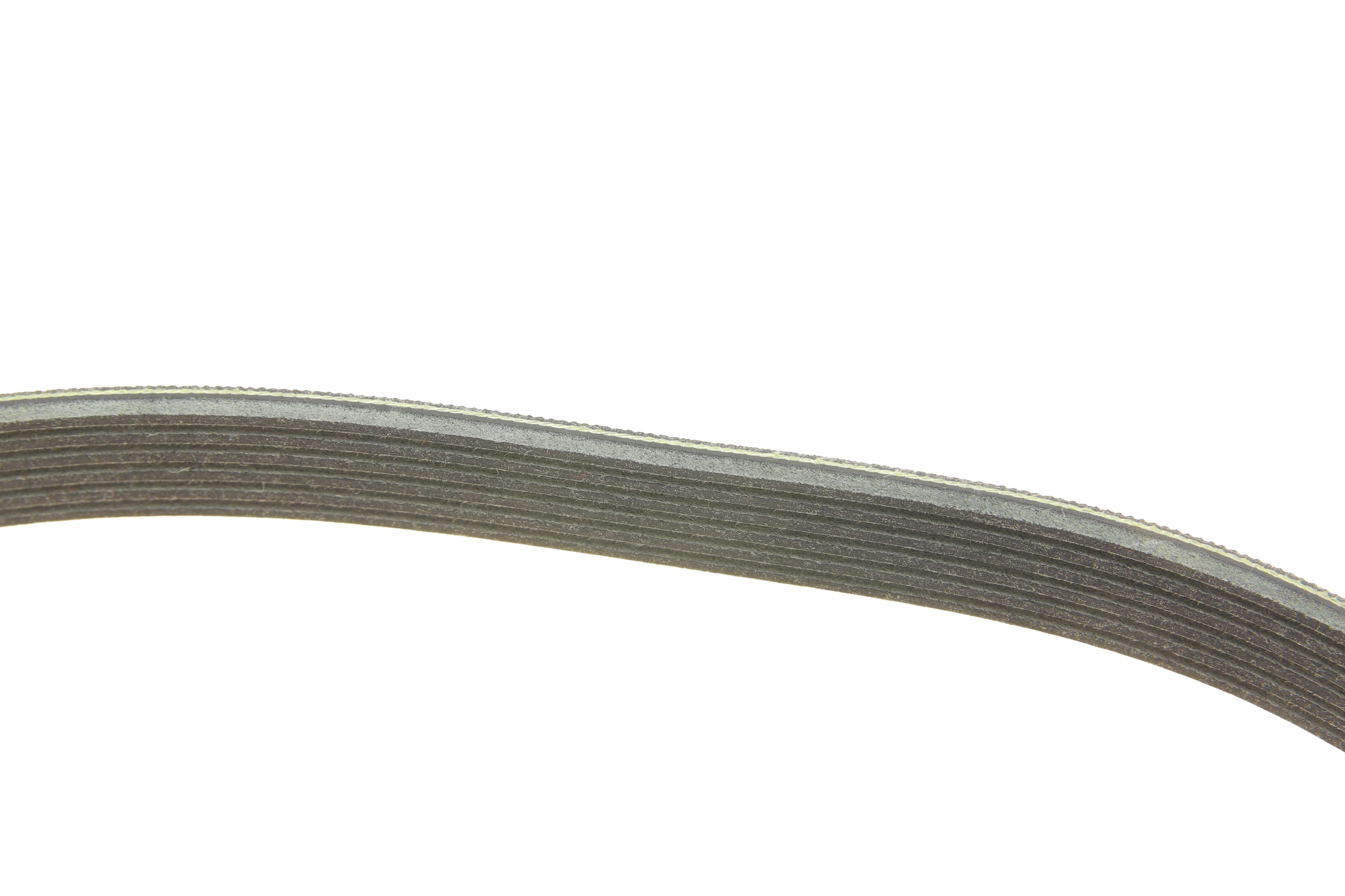 Ремінь генератора Dacia Dokker/Duster/Logan/Renault Kangoo/Scenic 1.5D-1.6D 01-