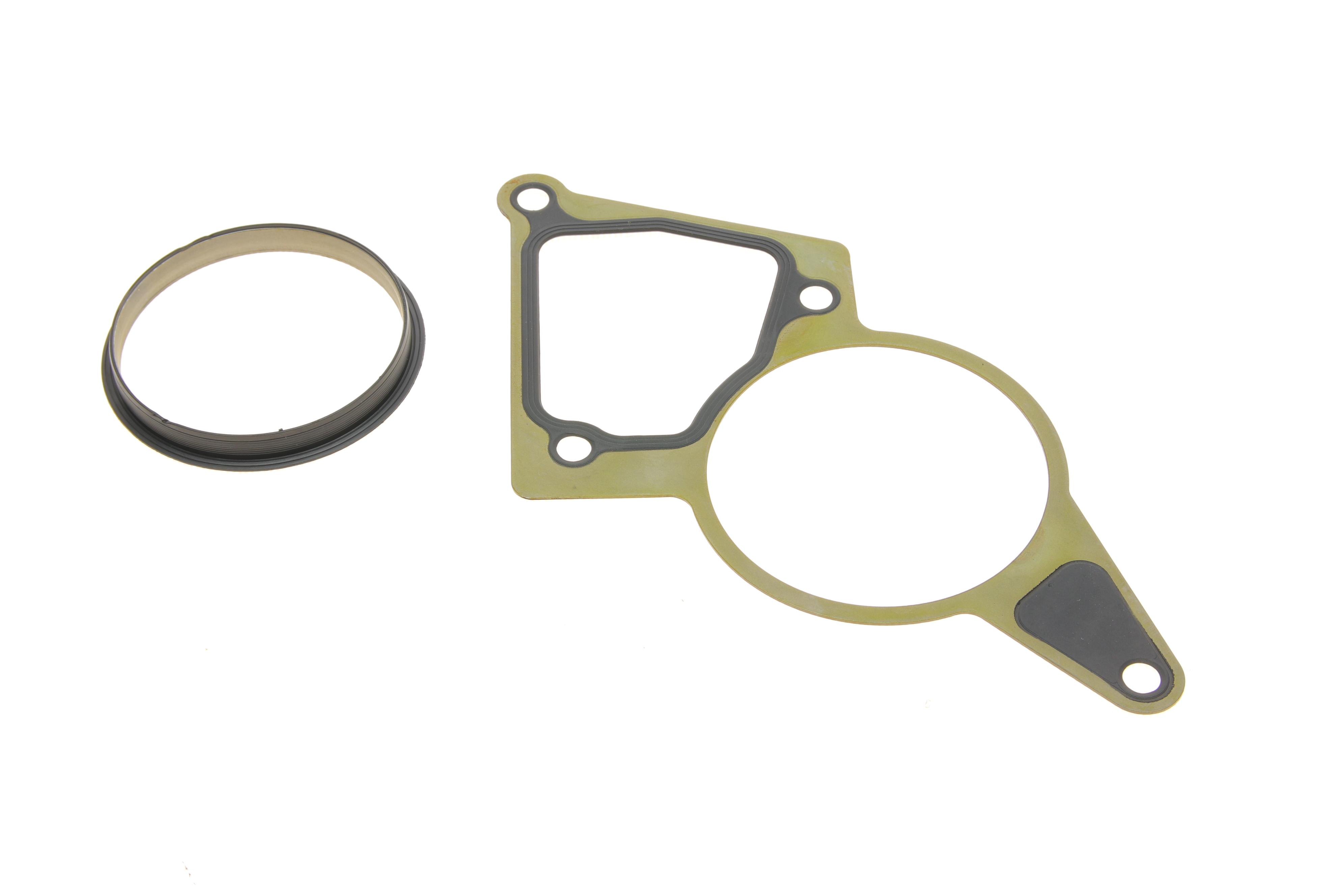 Прокладка насоса вакуумного Fiat Ducato/Peugeot Boxer/Ford Transit 2.2HDi/TDCi 06- (к-кт)