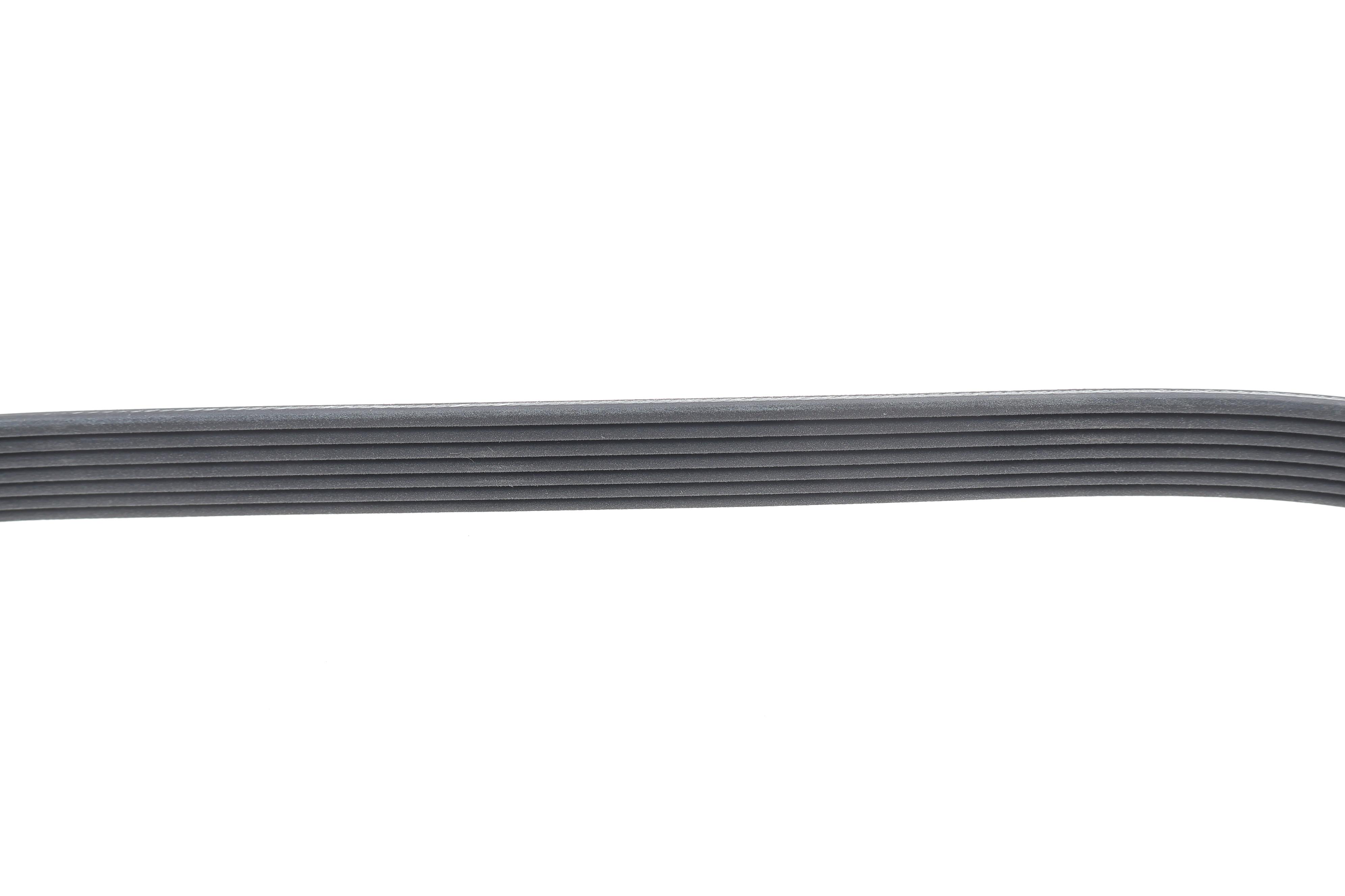 Ремінь генератора Renault Clio 1.2 16V 05-14 (7PK880)