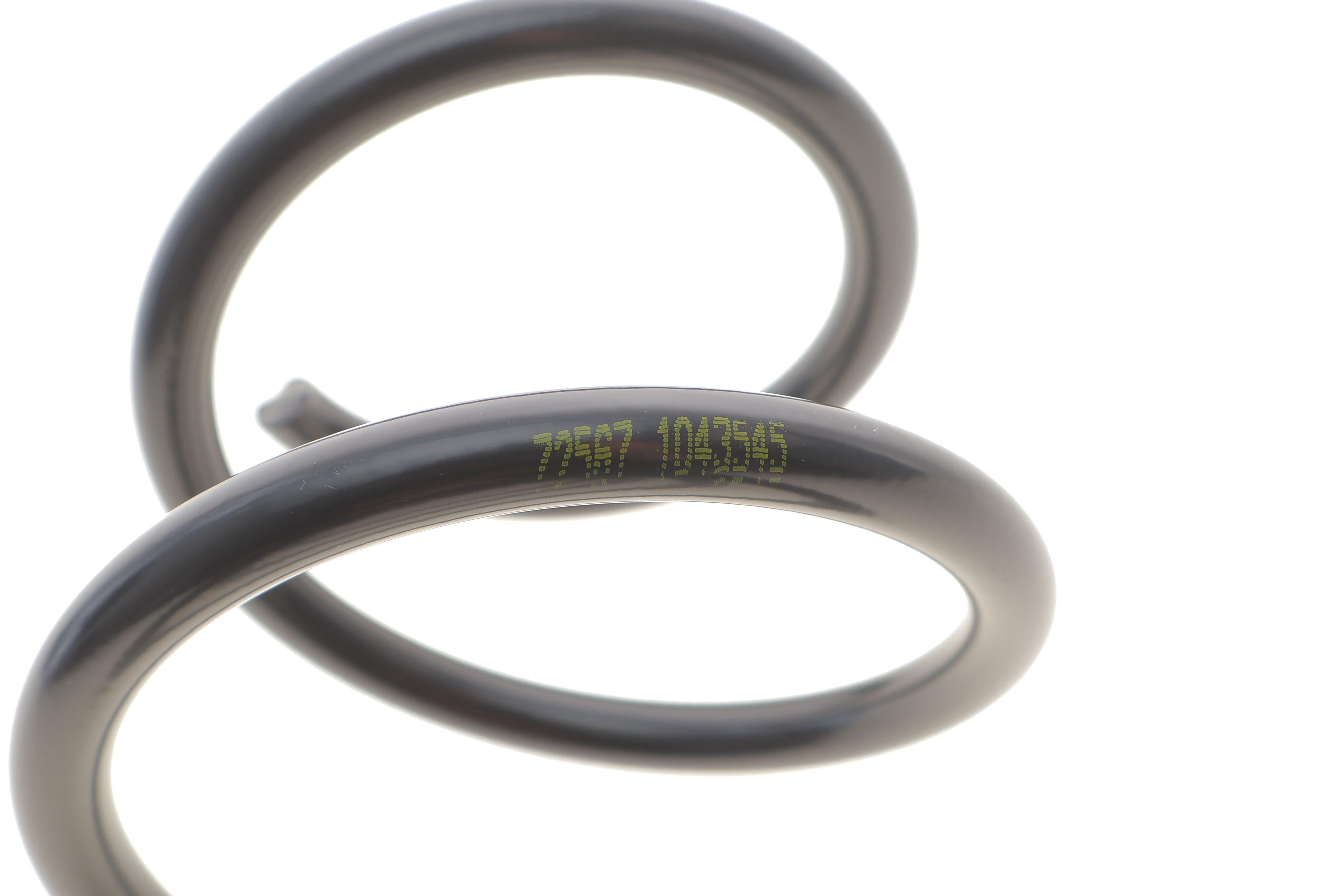 Пружина (задня) Dacia Duster 1.5 dCi/1.6 SCe 4x4 17- (SUV)