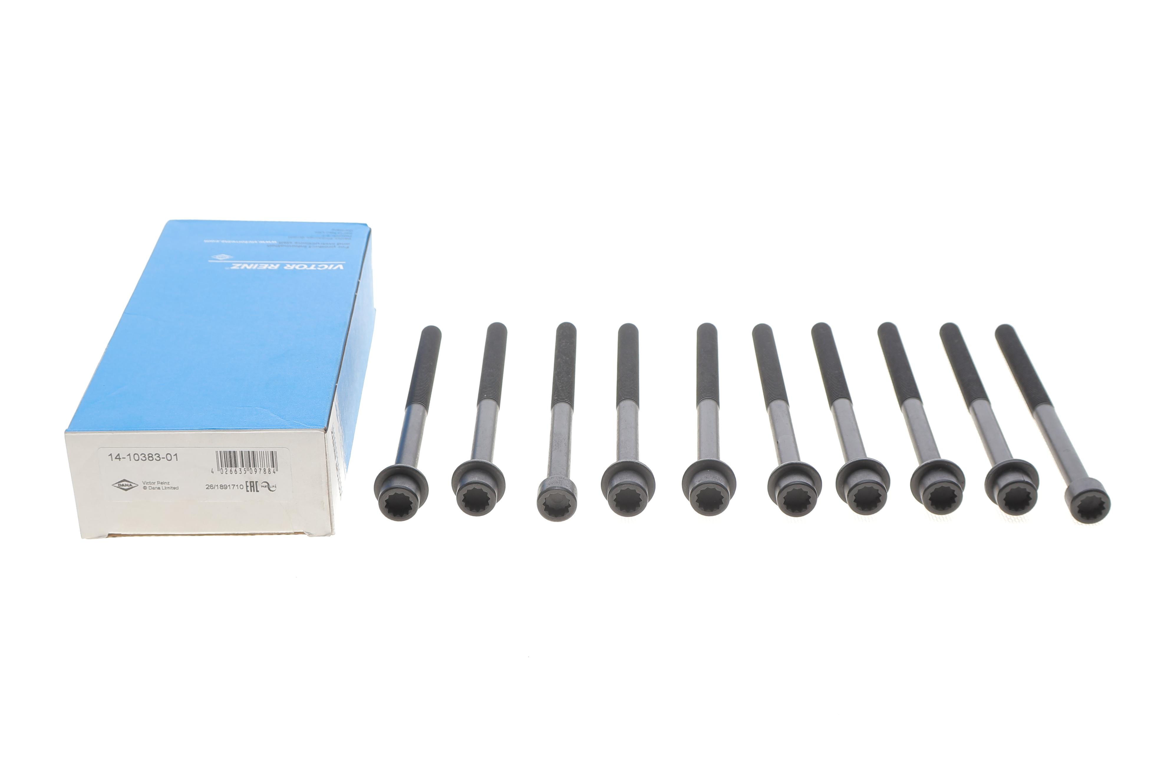 Болти головки (к-кт 10шт.) Hyundai Santa Fe/Kia Sportage 2.4 CRDi 10-