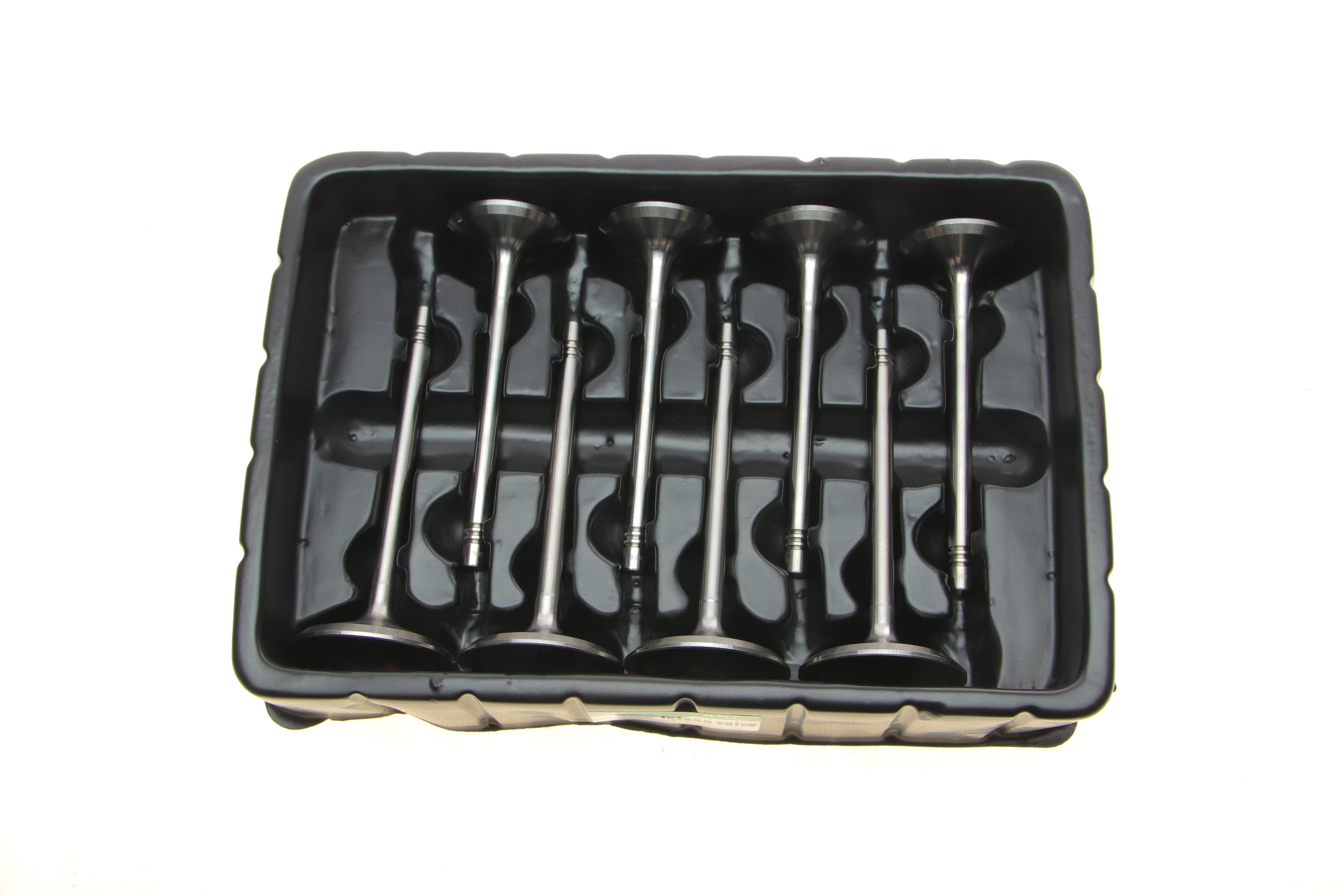 Клапан (впуск/випуск) VW Caddy III/Golf/Passat 1.6 04-15 (к-кт 8шт.) (OE VAG)