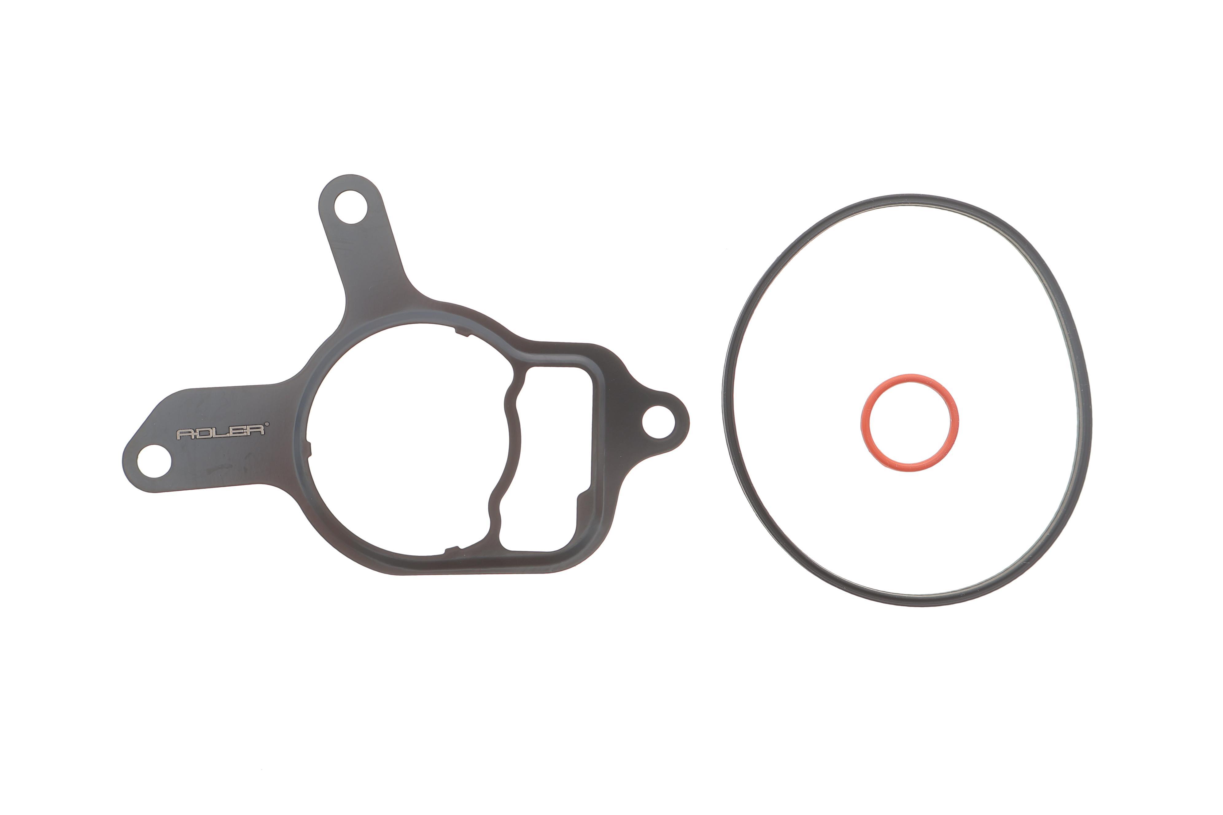 Прокладка насоса вакуумного VW Golf VI/Jetta III/IV 2.5 06- (к-кт)