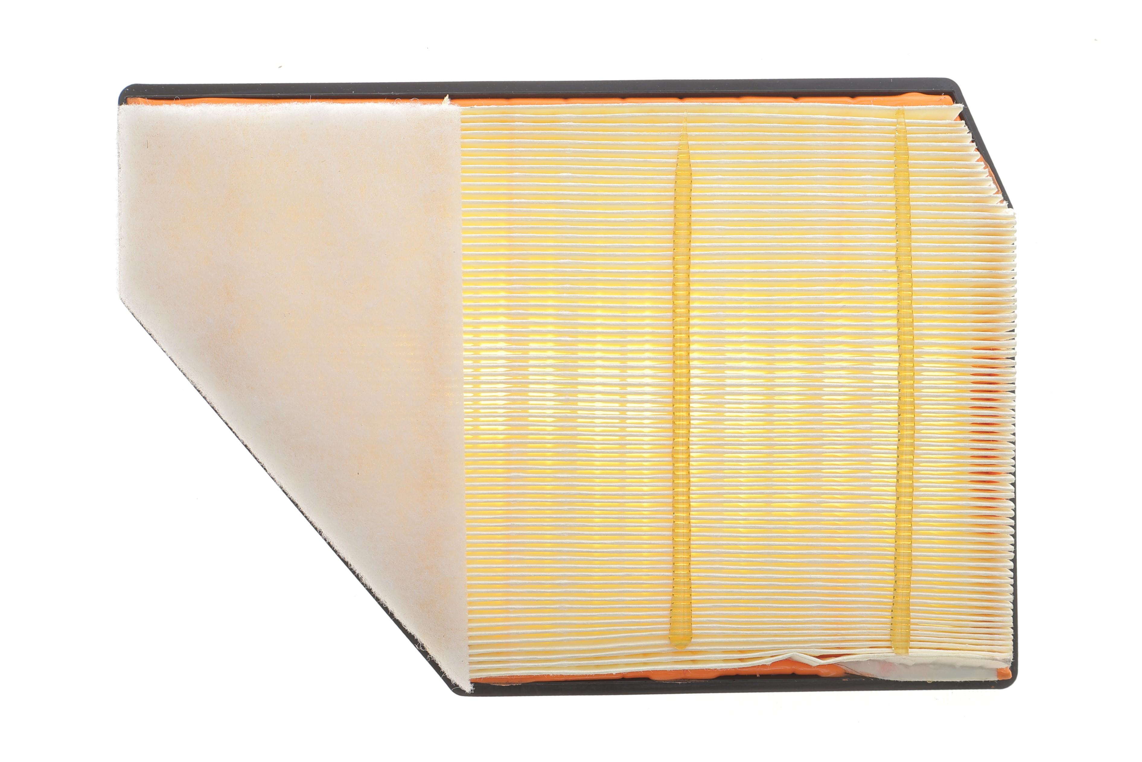 Фильтр воздушный BMW X5 (G05/F95)/X6 (G06/F96)/X7 (G07) 18- (L) N63 B44