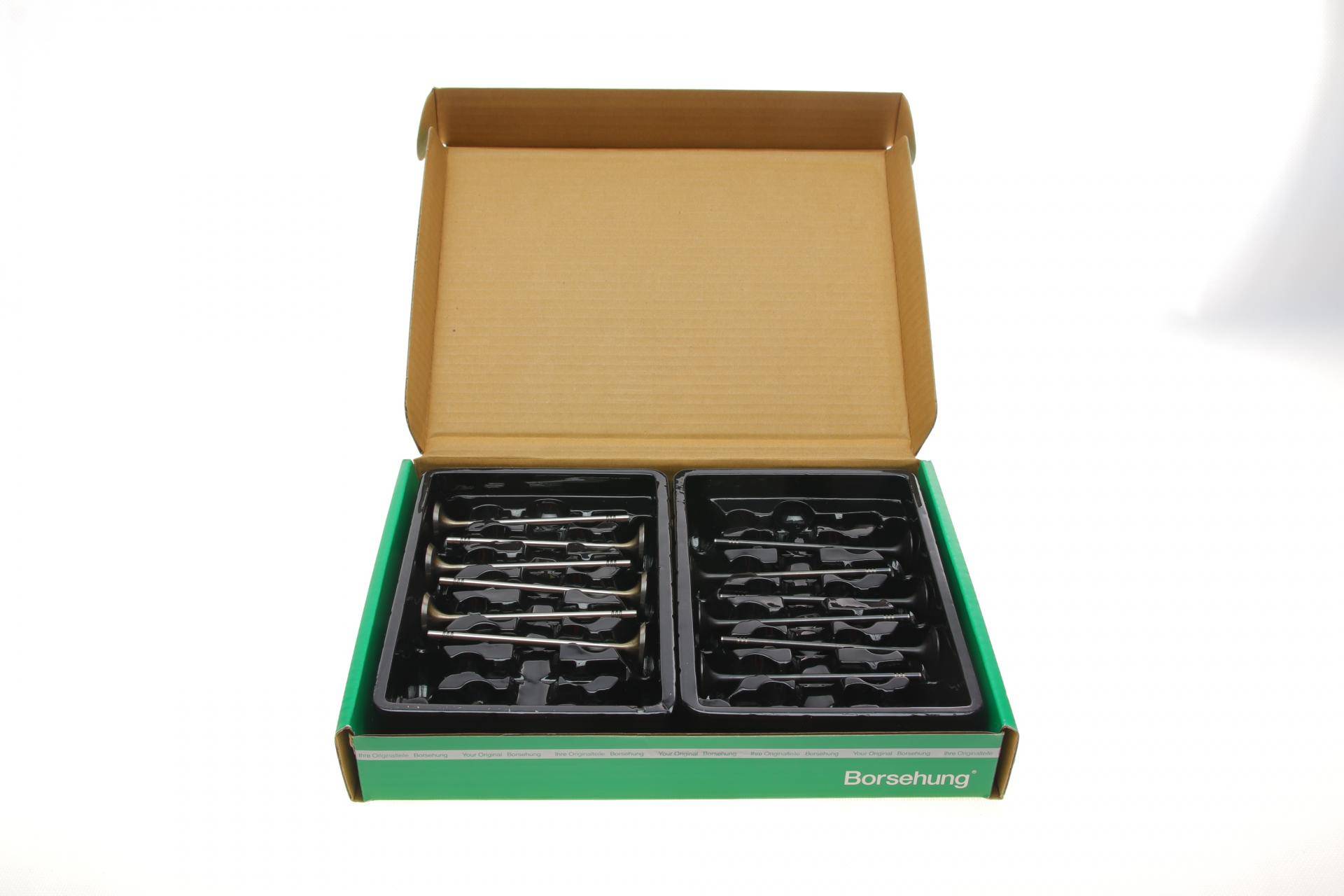 Клапан (впуск/випуск) VW Caddy IV/Golf VI/Touran 1.2TSI 15- (12 к-кт) (OE VAG)