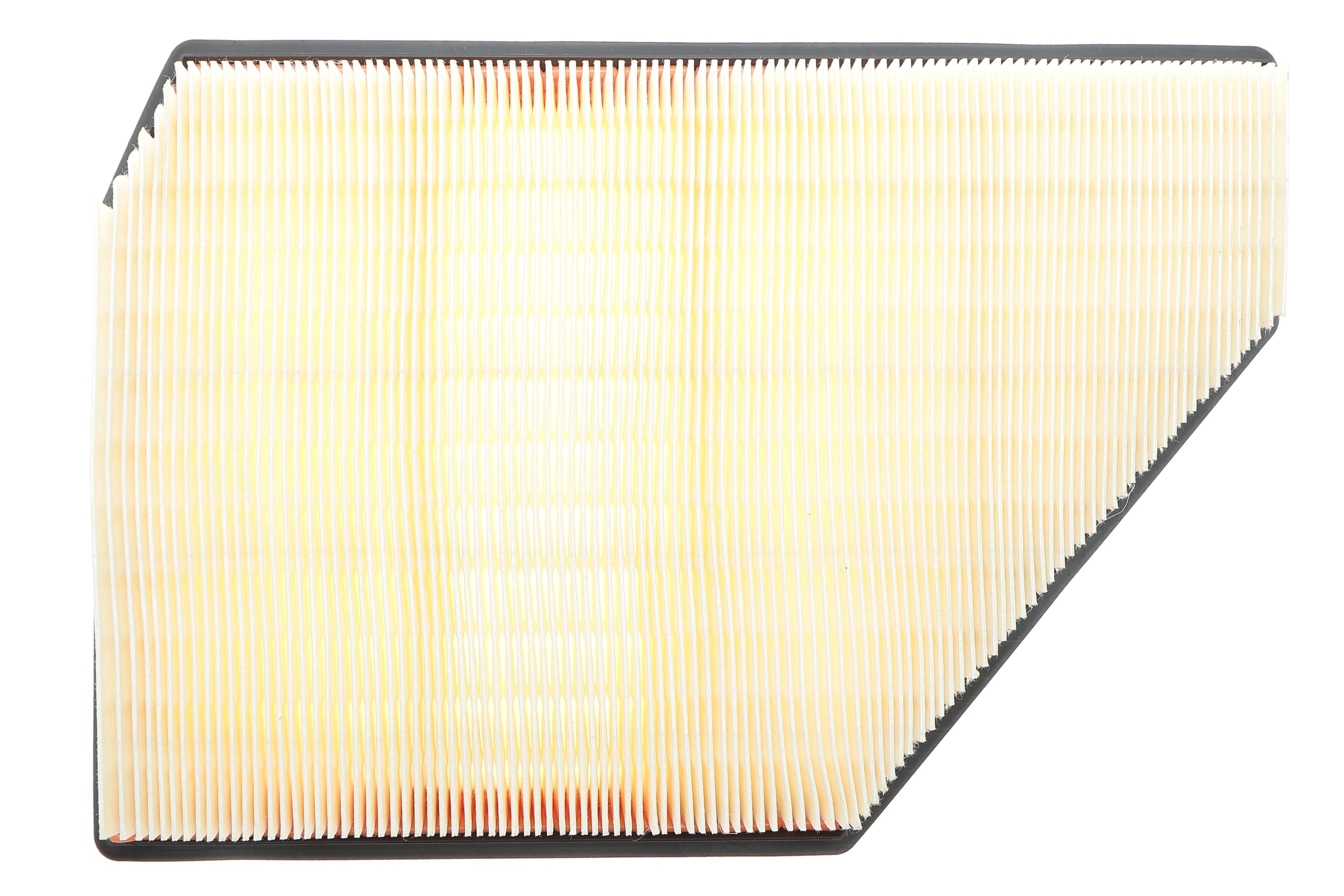 Фильтр воздушный BMW X5 (G05/F95)/X6 (G06/F96)/X7 (G07) 18- (R) N63 B44