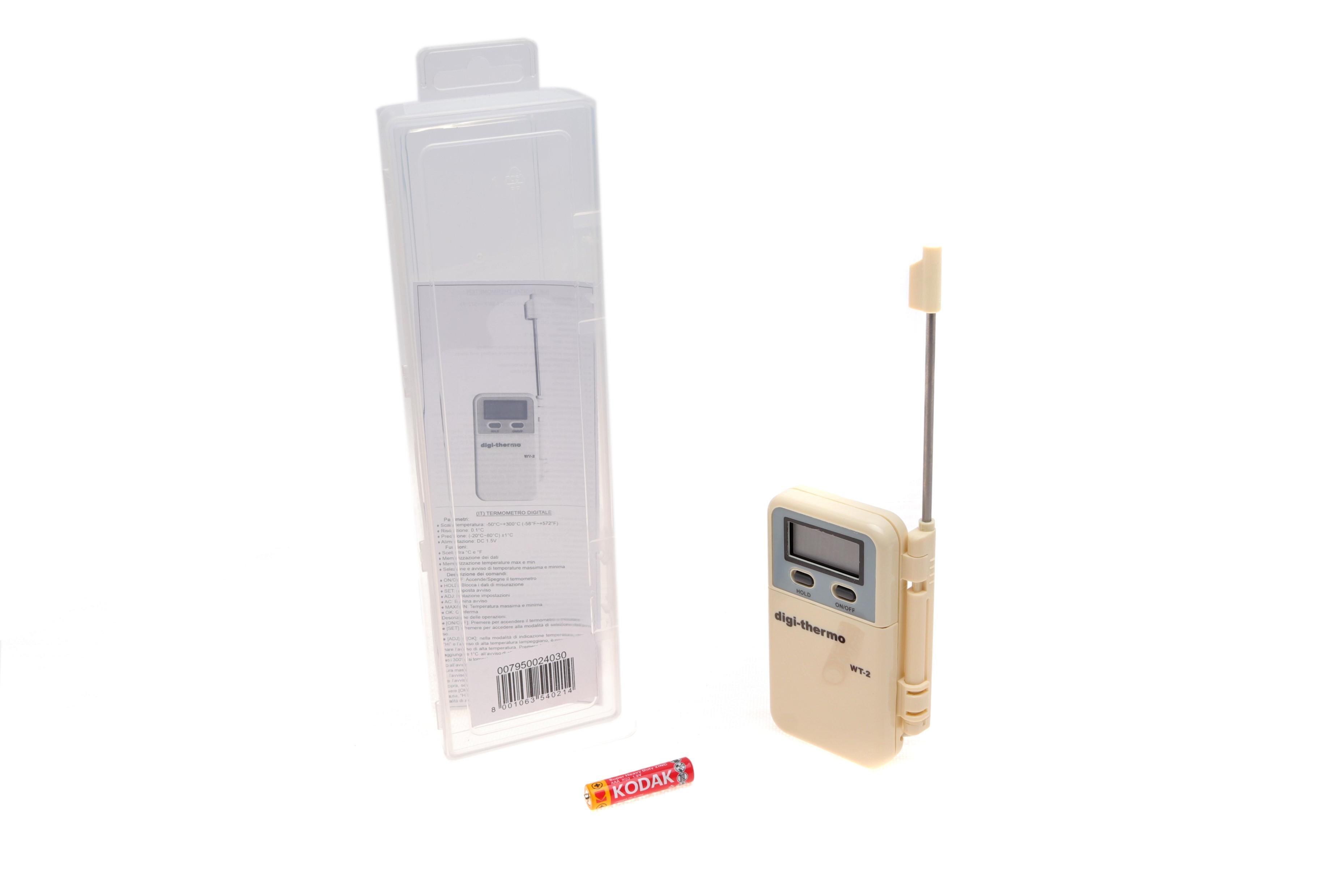 Термометр электронный