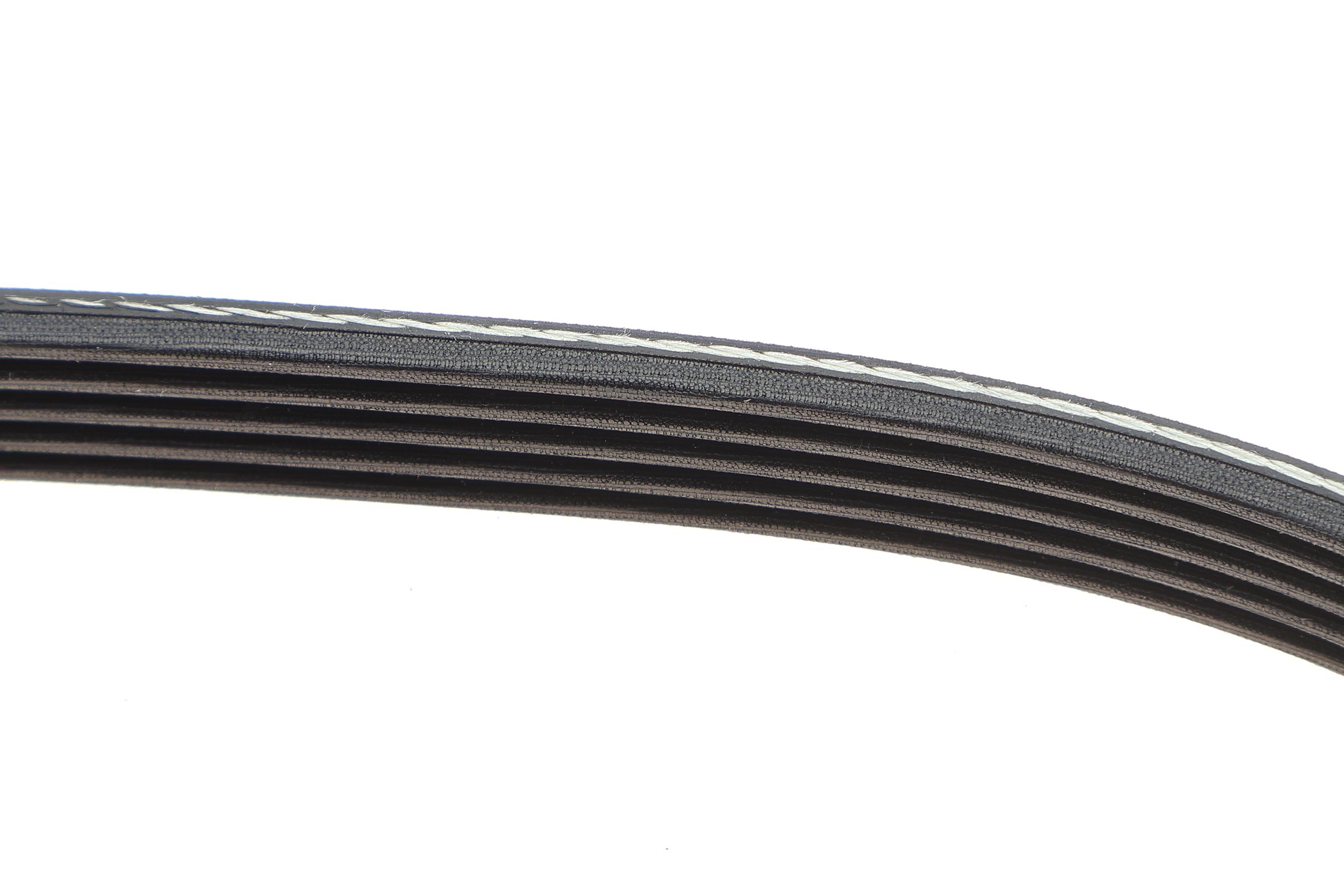 Ремінь генератора Renault Kangoo 1.5 dCi