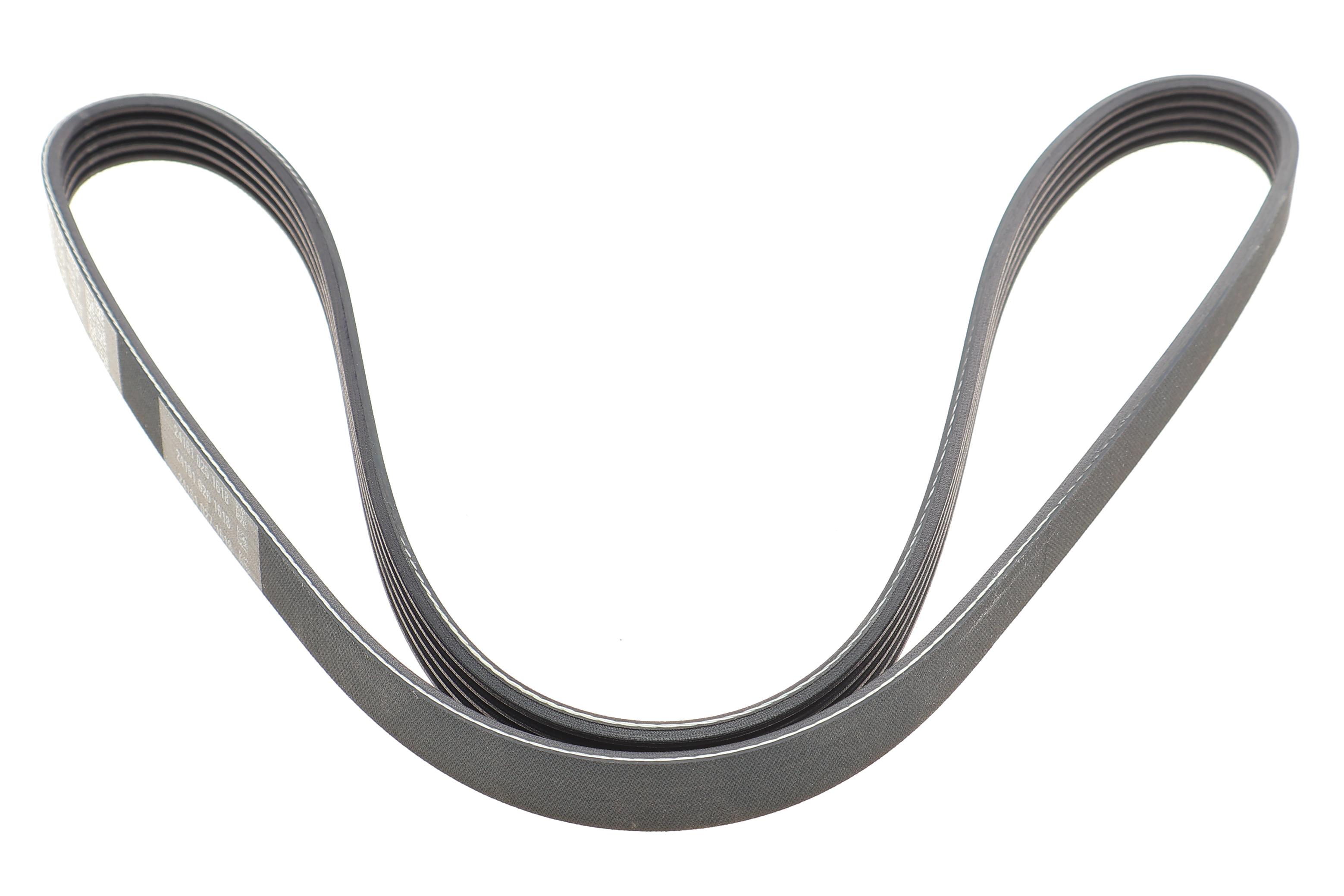 Ремінь генератора Renault Kangoo 1.5 dCi