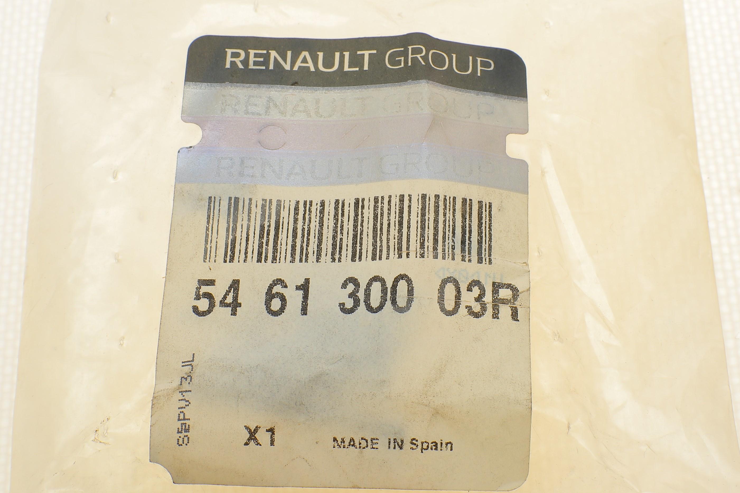 Втулка стабілізатора (переднього) Renault Laguna 07- (d=24mm)