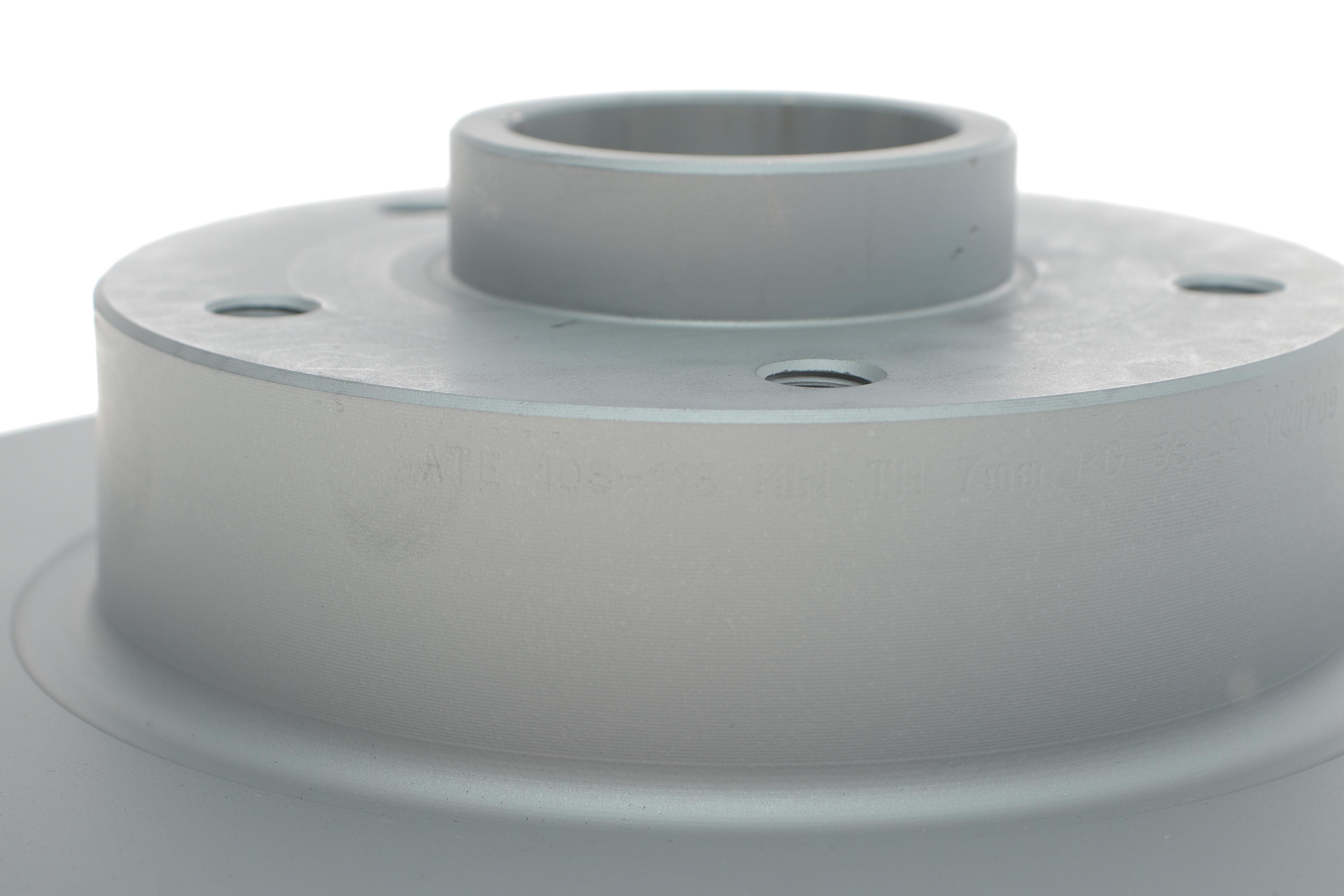 Диск гальмівний (задній) Renault Megane III/Scenic III 08- (260x8)(з підшипником)(+ABS)