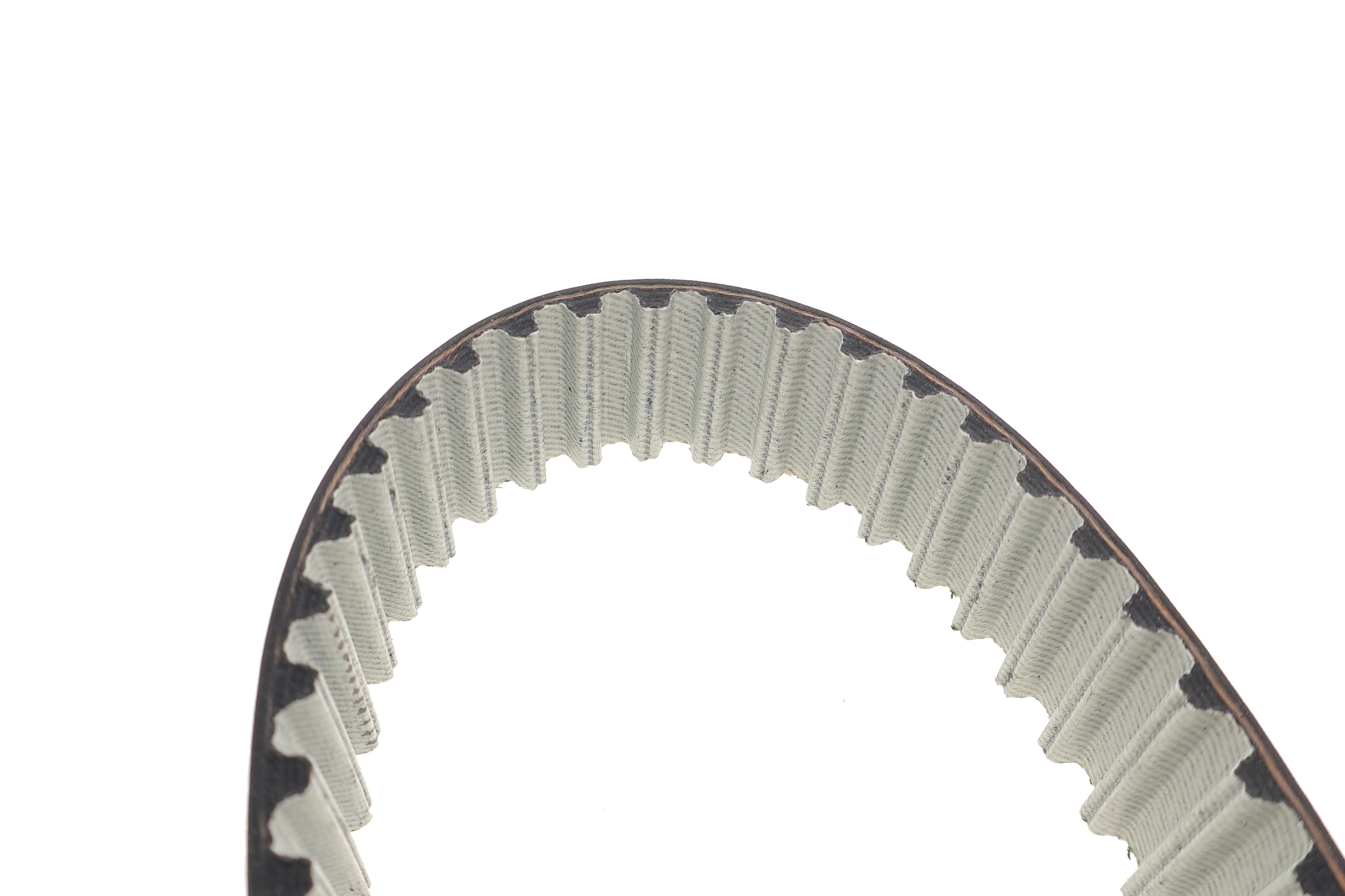 Комплект ГРМ Jaguar XF I/XJ/S-Type II 2.7D/3.0D 04- (195x30)