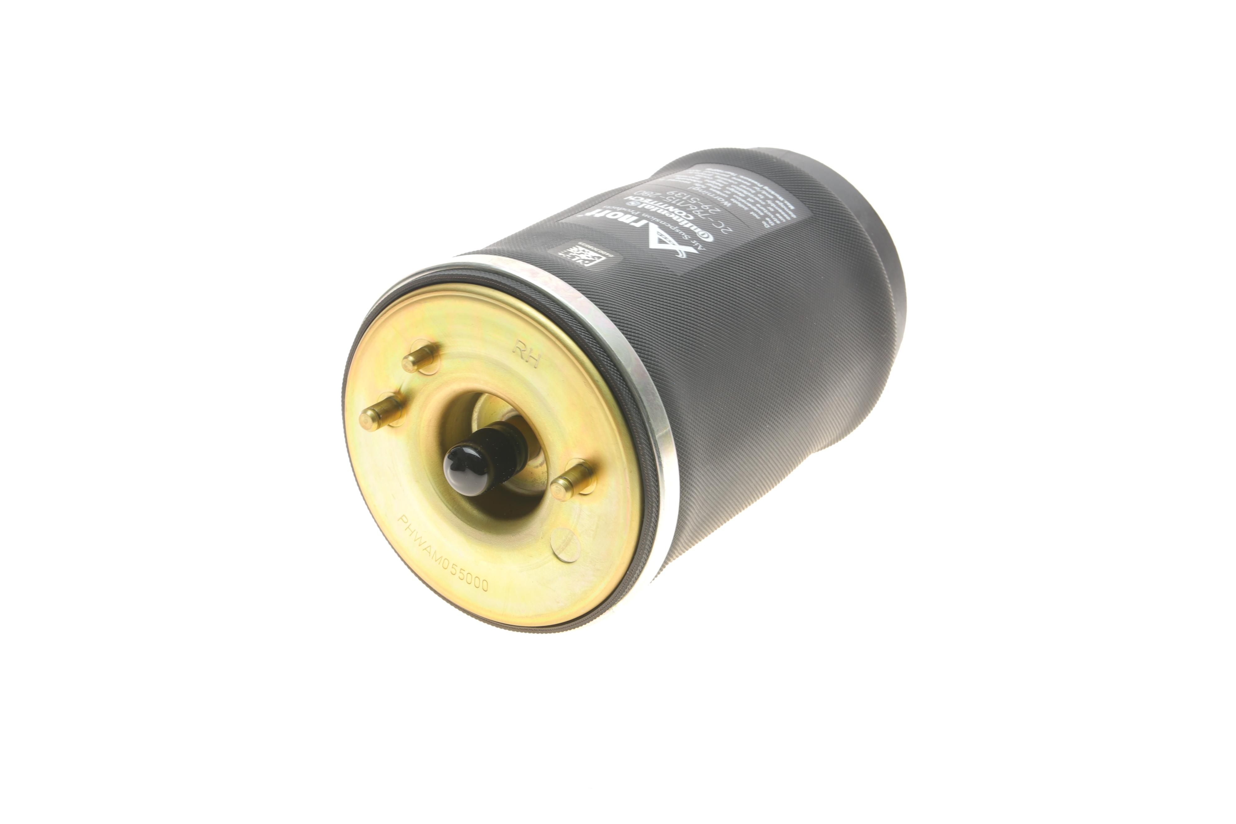 Подушка пневмопідвіски (ззаду) BMW X5 (E53) 00-06 (R)