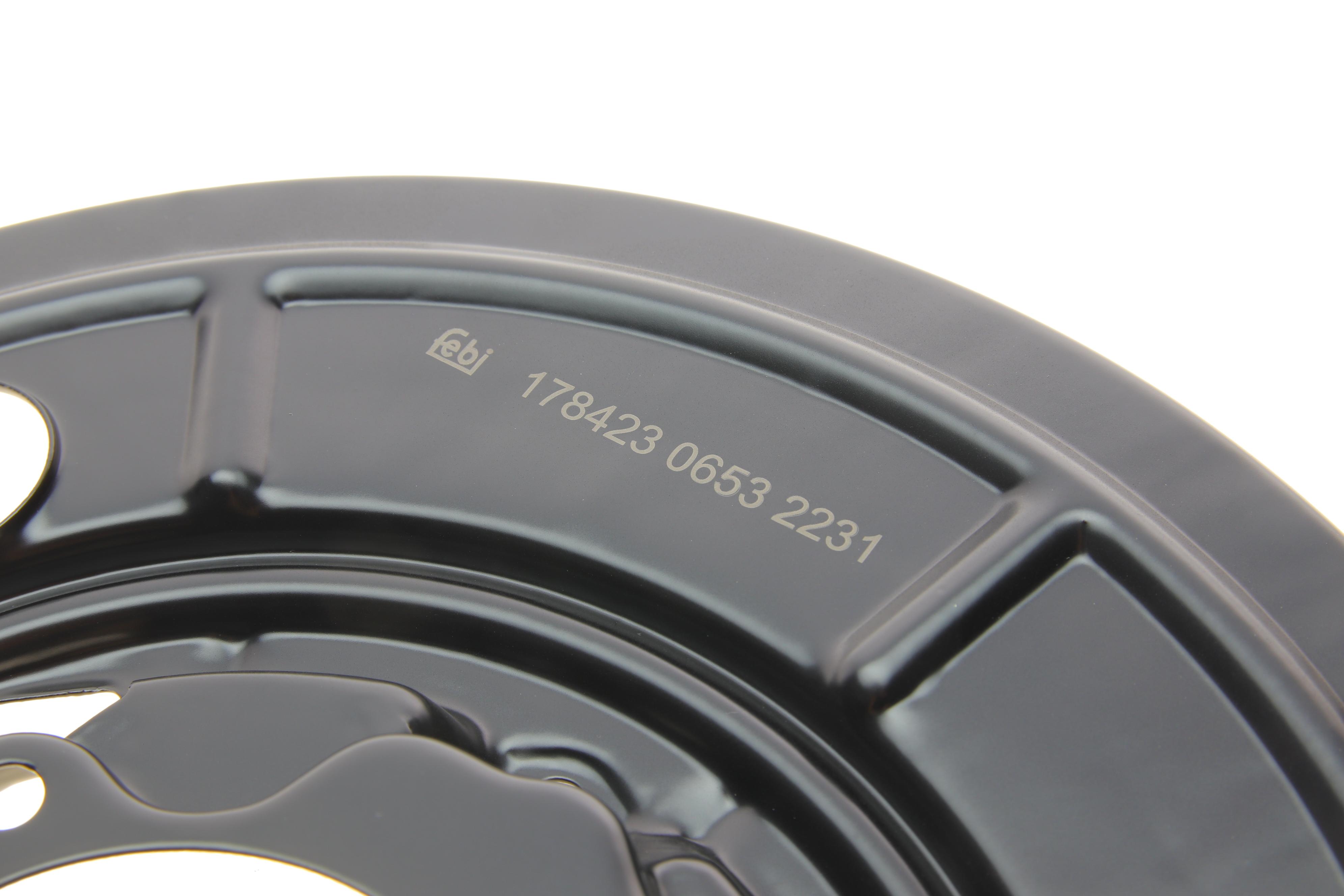 Захист диска гальмівного (R) Citroen Jumper/ Fiat Ducato/ Peugeot Boxer 06-