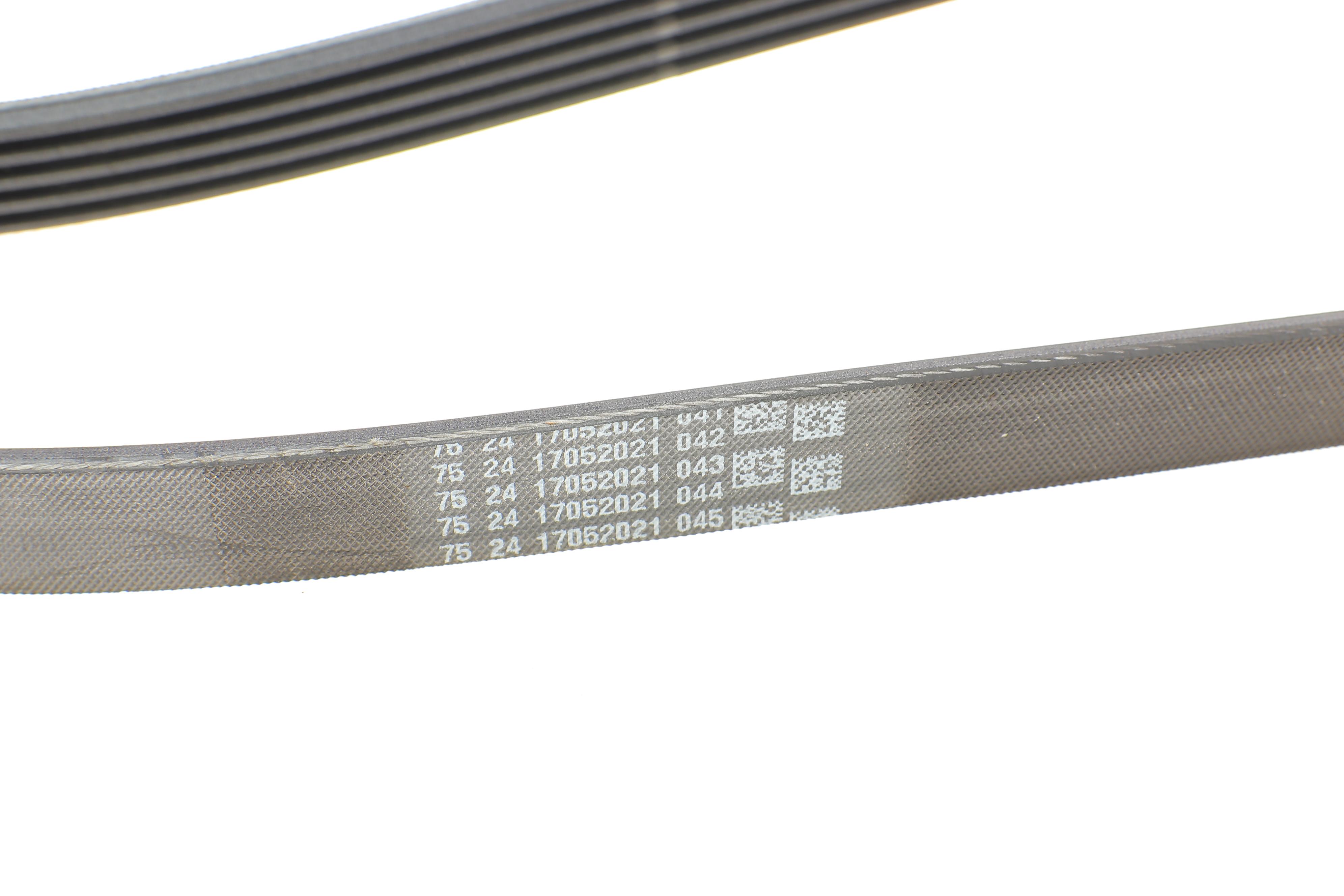 Ремінь генератора Hyundai Accent/Getz/i30/Kia Rio/Cerato 1.5CRDi 05-